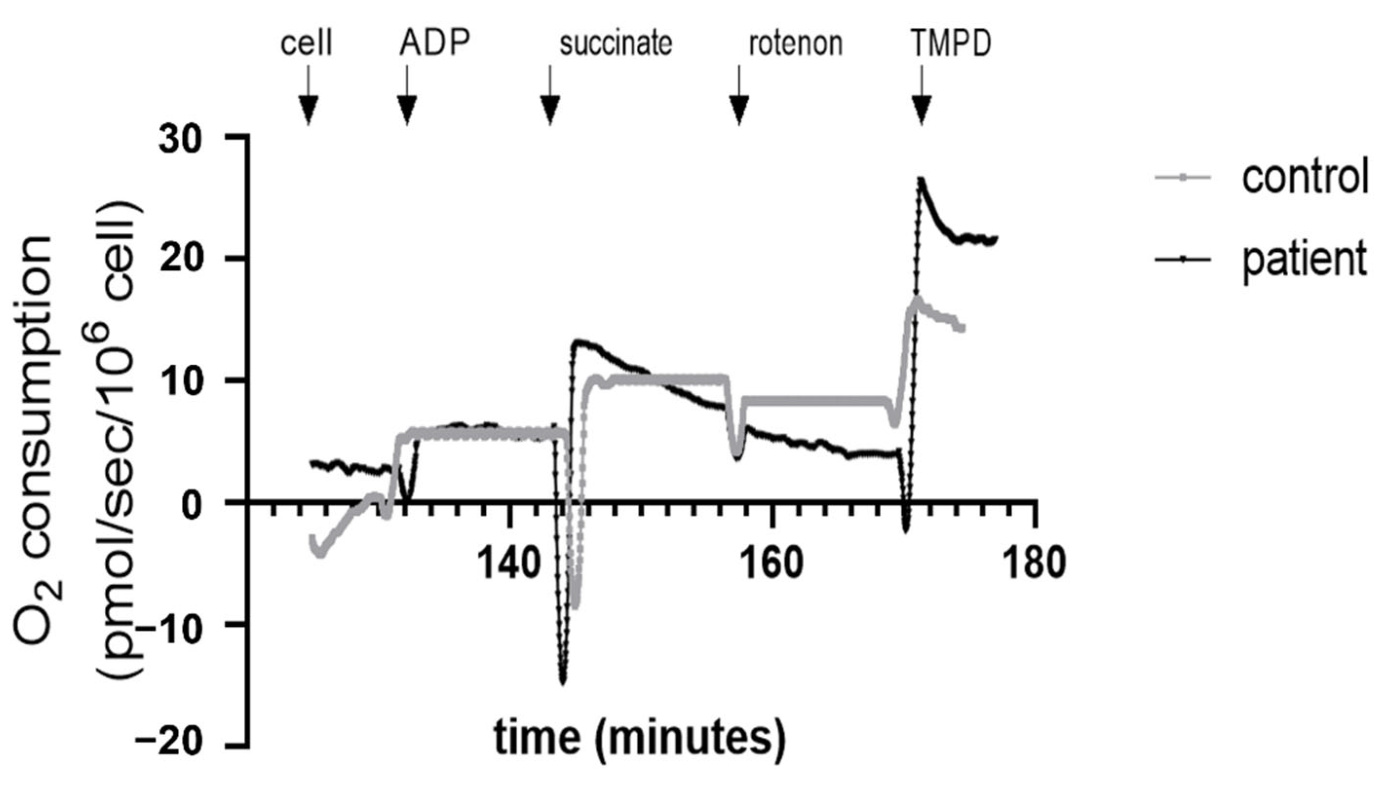 Jcm 11 07247 g001 Jcm 11 07247 g001