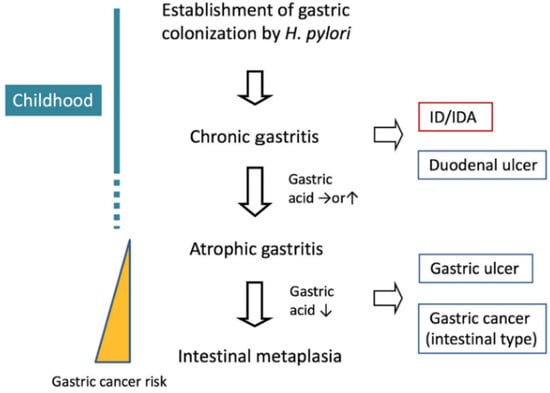 Negative Health Effects of Iron Deficiency & Associated Diseases