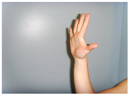 Jcm 11 07434 i008 Jcm 11 07434 i008