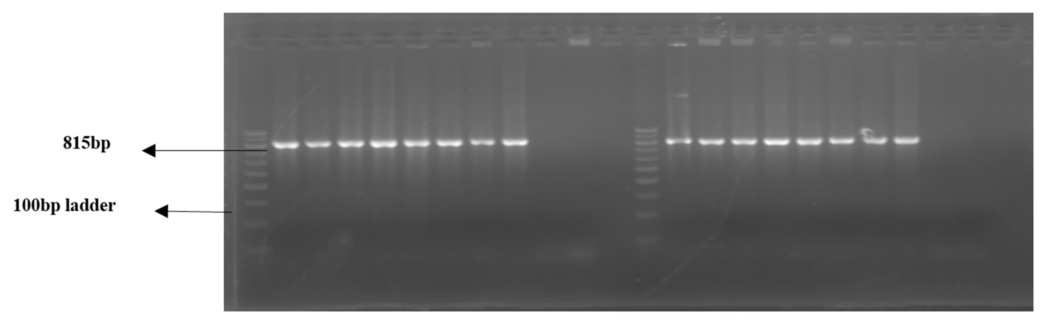 Jcm 11 07448 g008