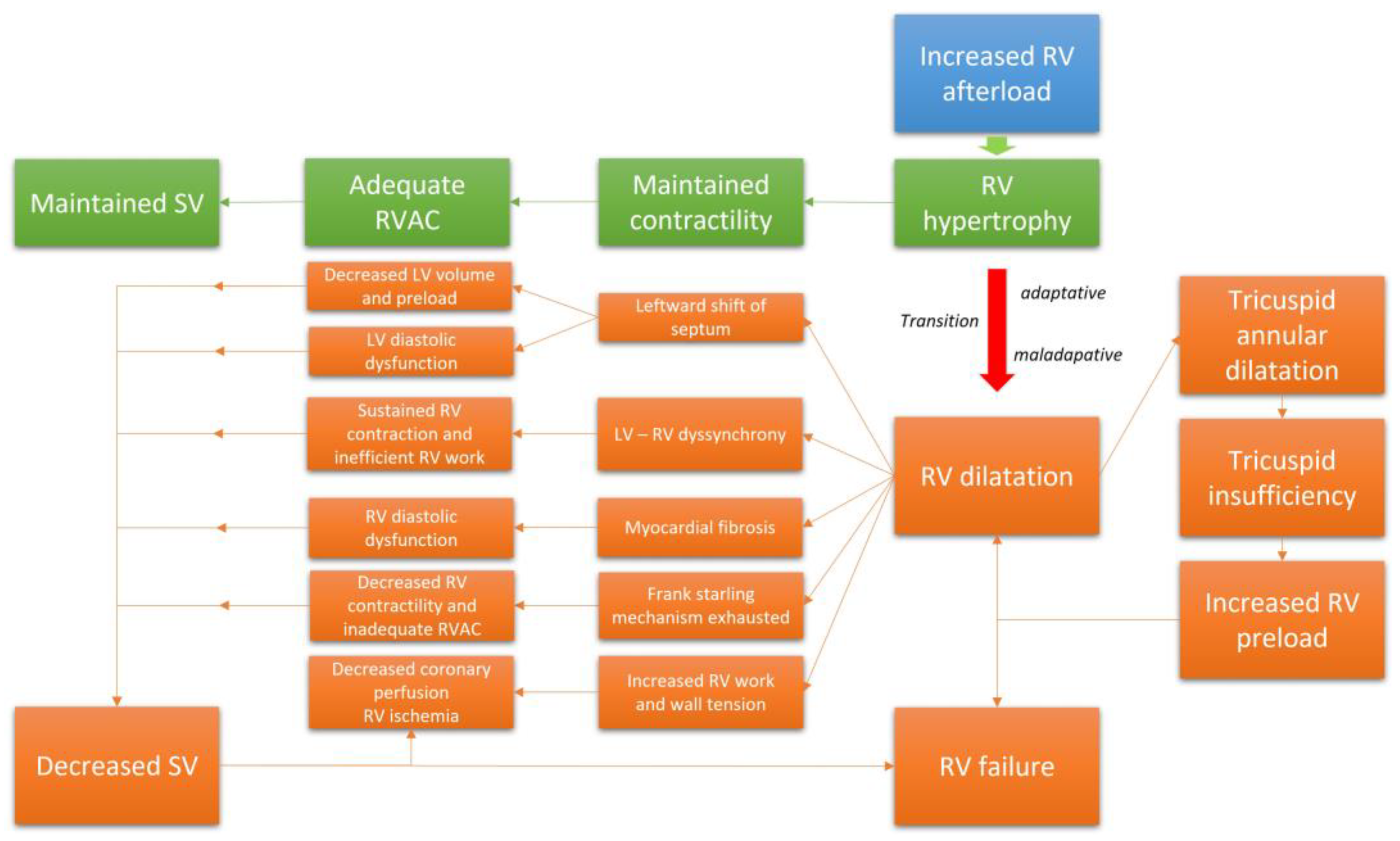 Jcm 12 00047 g002 Jcm 12 00047 g002
