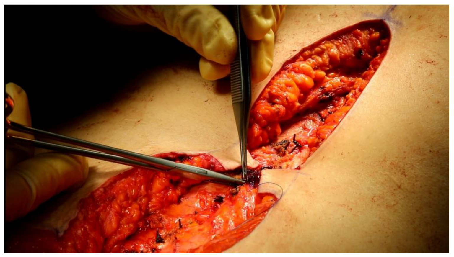 Jcm 12 00078 g002 Jcm 12 00078 g002