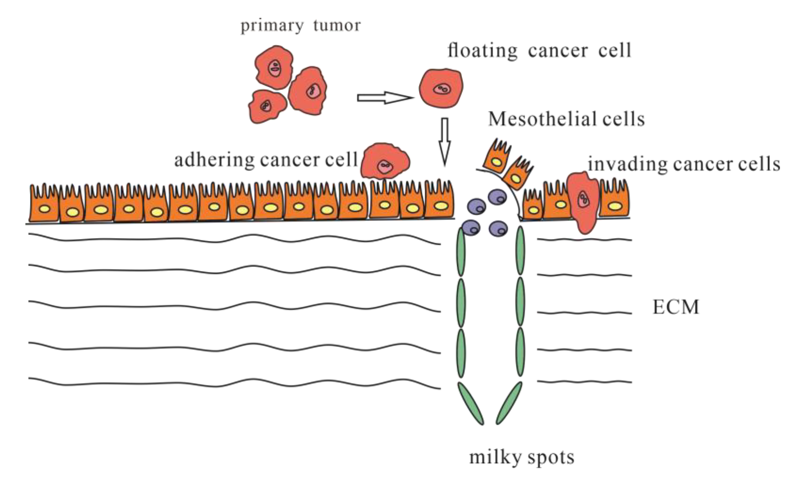 Jcm 12 00103 g001 Jcm 12 00103 g001