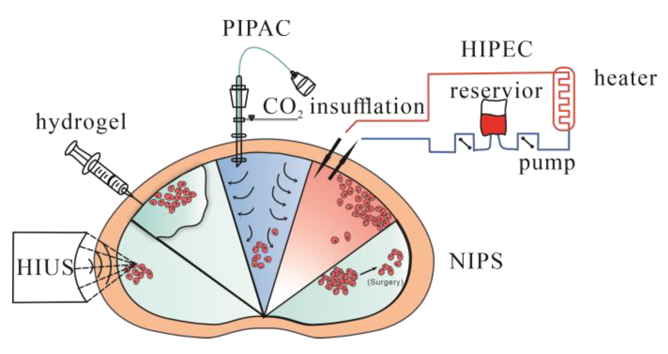 Jcm 12 00103 g003 Jcm 12 00103 g003