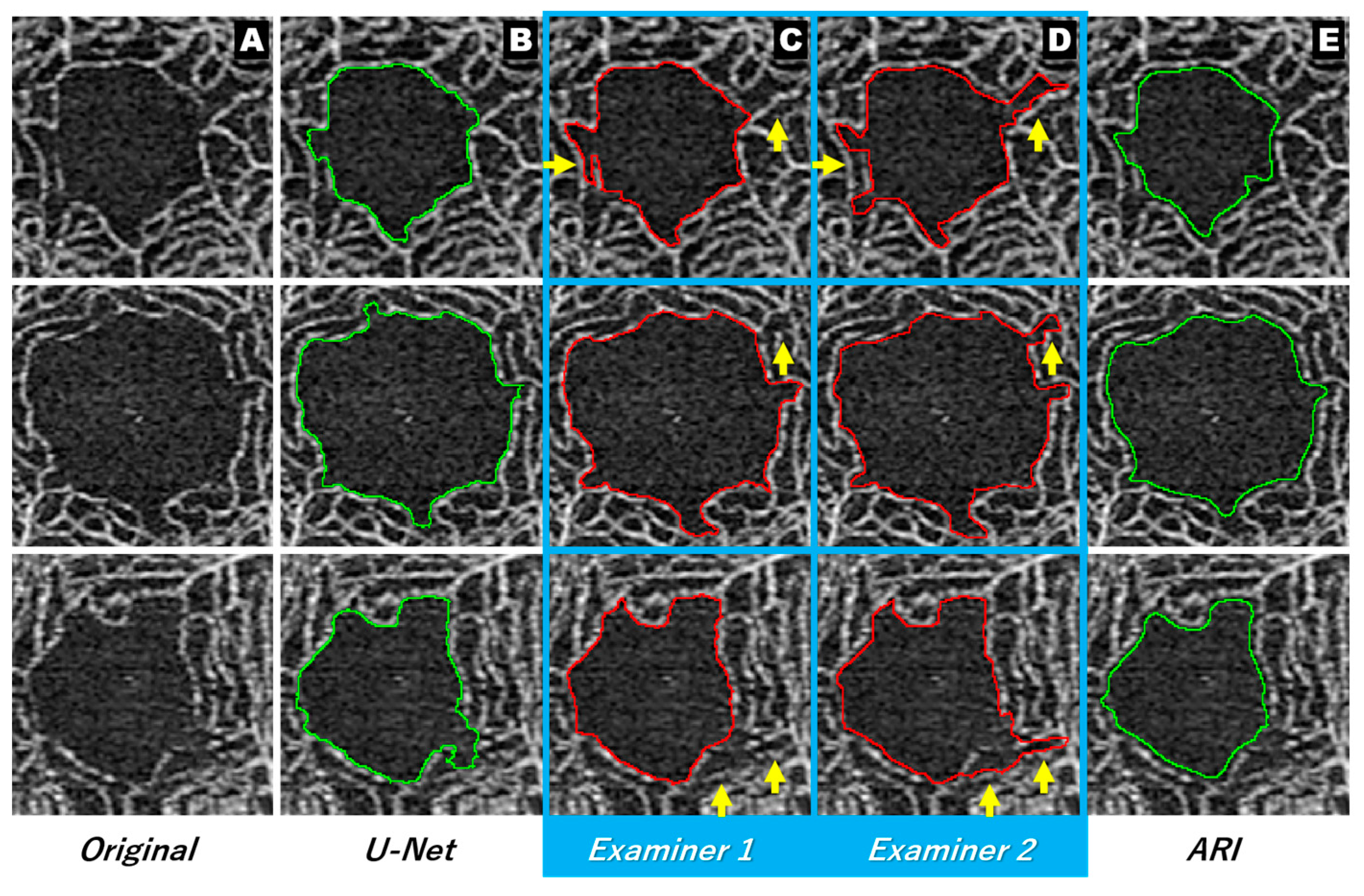 Jcm 12 00183 g005 Jcm 12 00183 g005