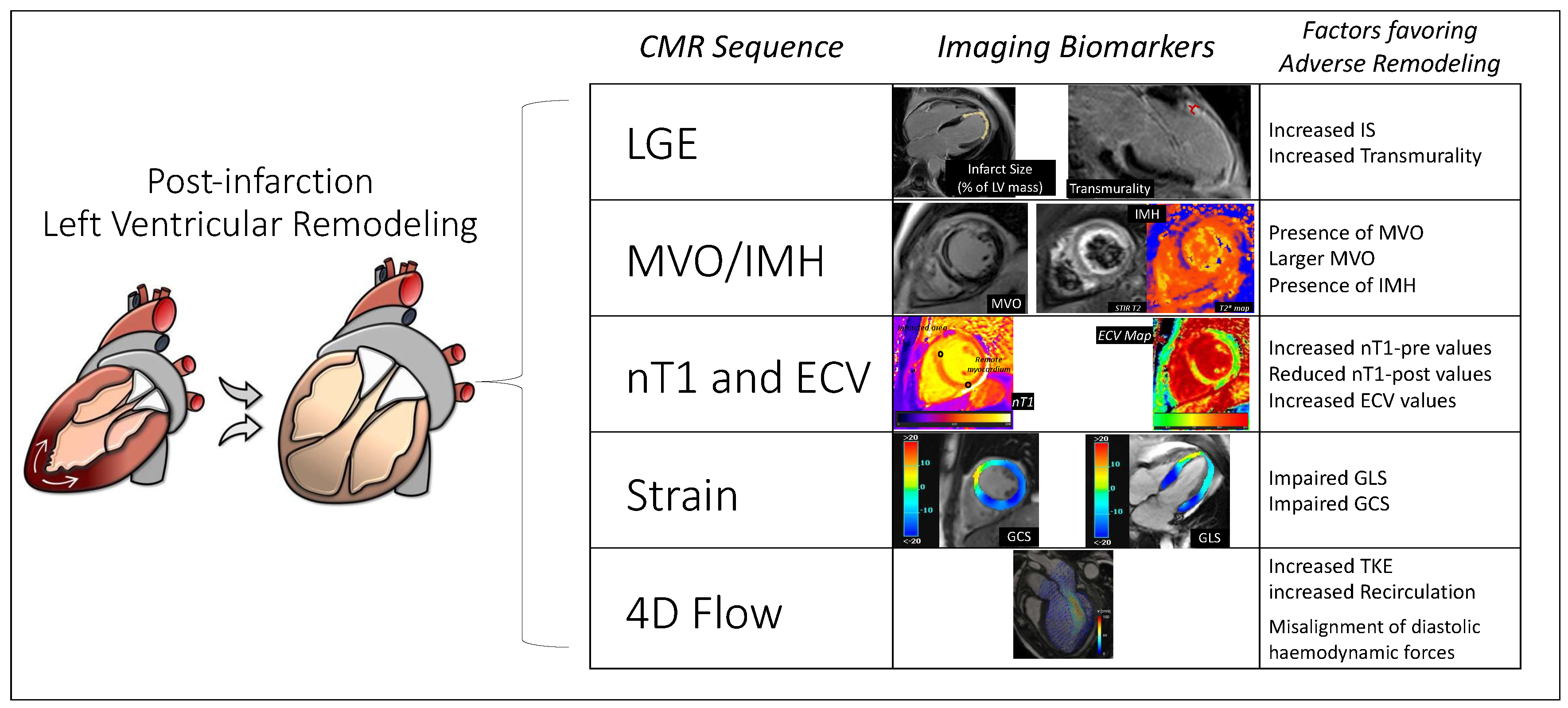 Viability Assessment With Global Left Ventricular Longitudinal Strain  Predicts Recovery of Left Ventricular Function After Acute Myocardial  Infarction