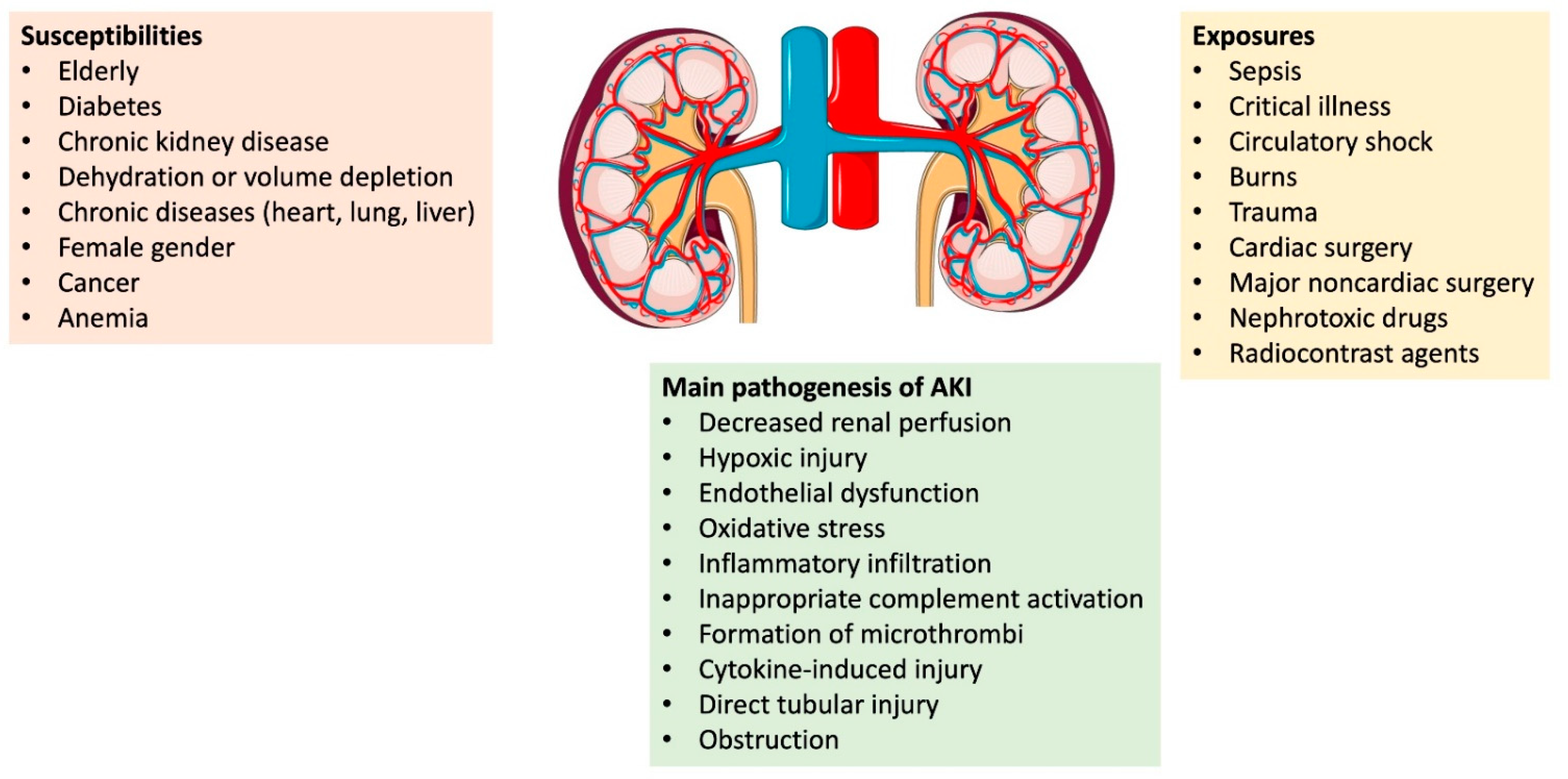 jcm-free-full-text-acute-kidney-injury-medical-causes-and-pathogenesis