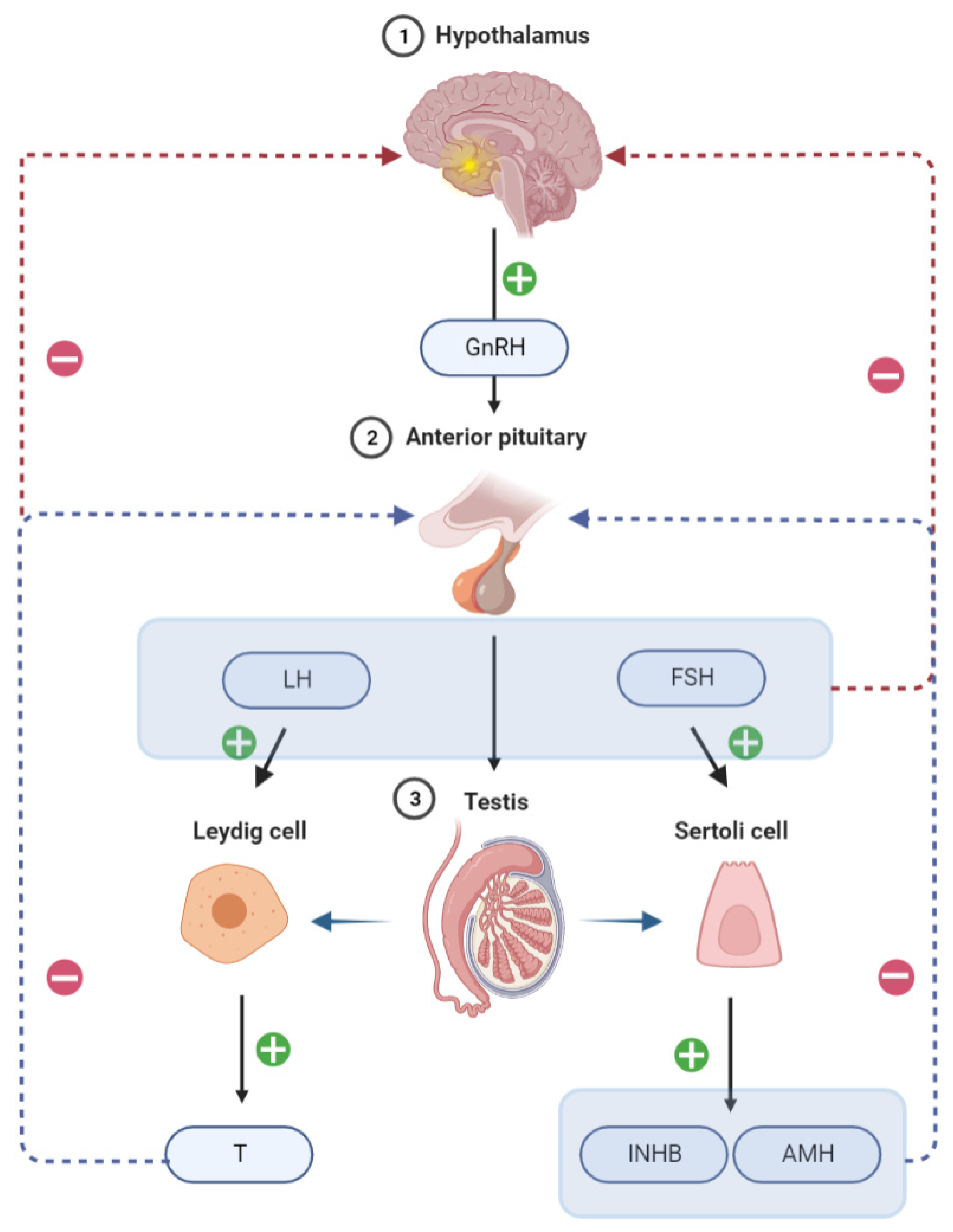 Jcm 12 00500 g001 Jcm 12 00500 g001