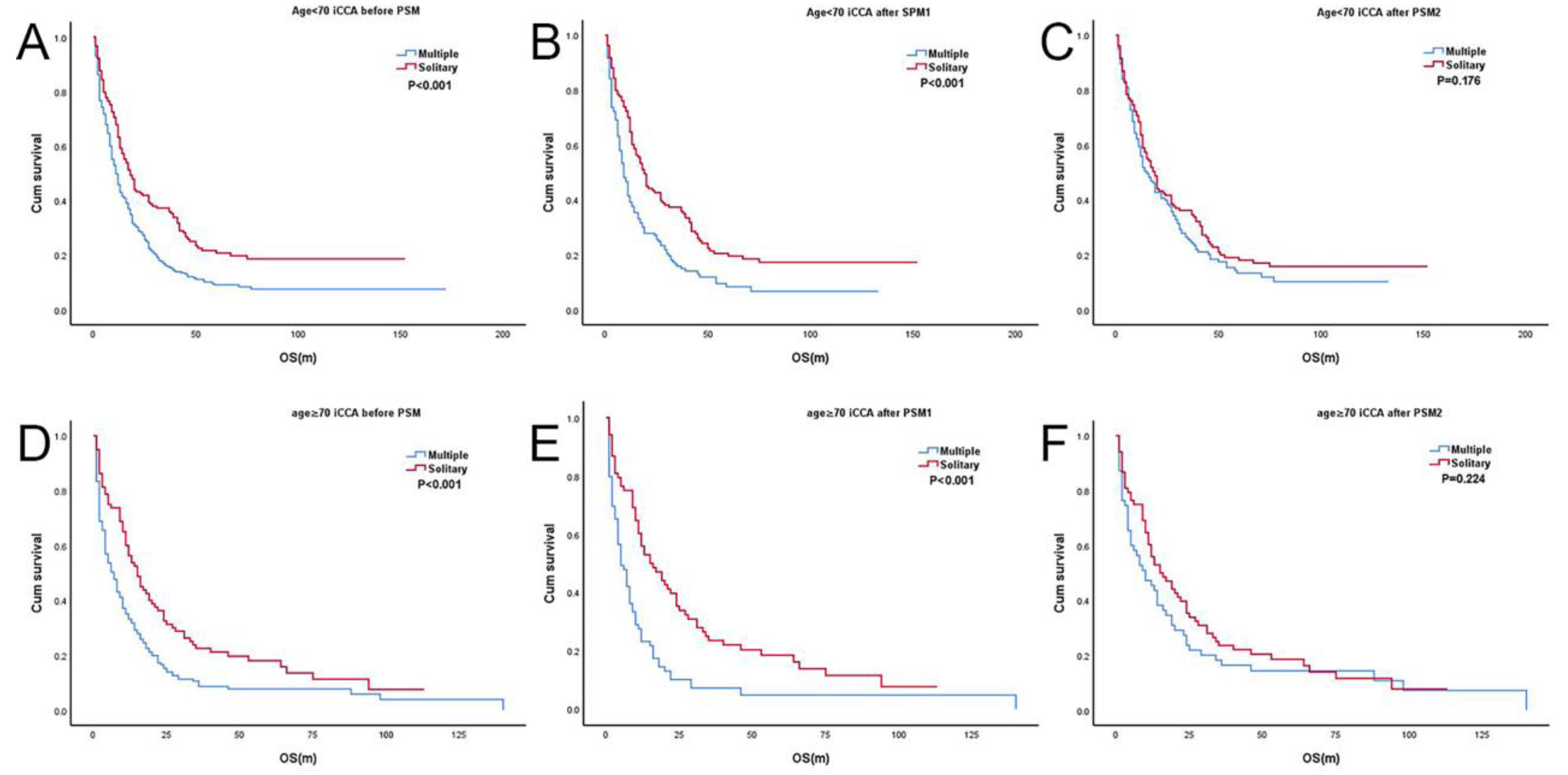 JCM | Free Full-Text | Validation of the Prognostic Role for Surgical  Treatment in Stage II Intrahepatic Cholangiocarcinoma: A SEER  Population-Based Study
