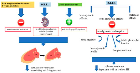 Improvement of left ventricular function assessment by global