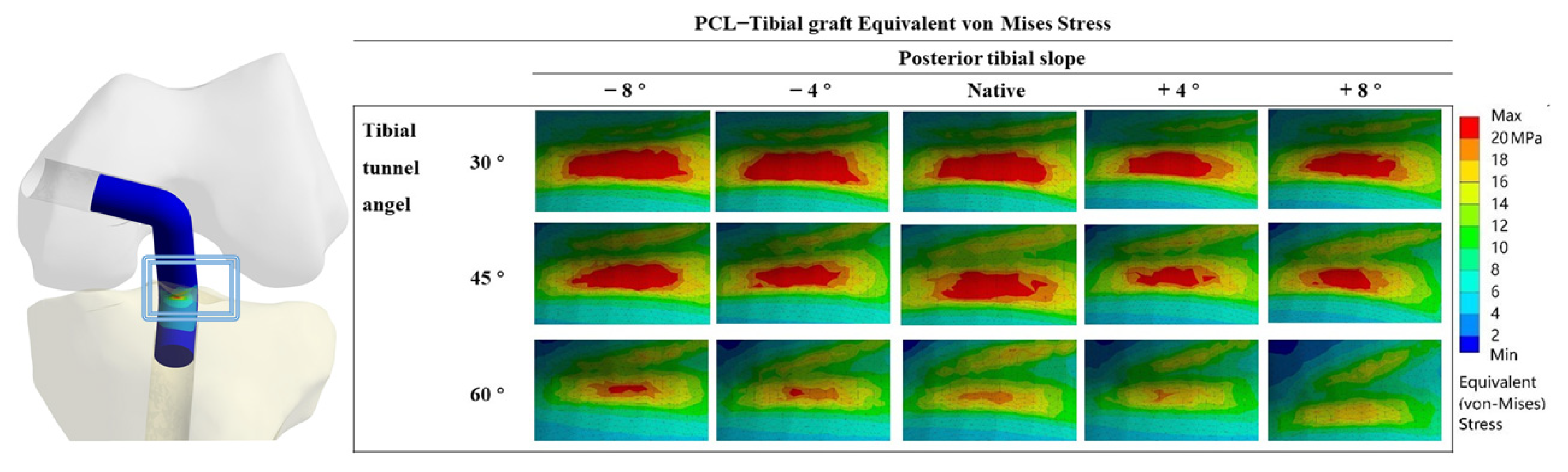 Jcm 12 00805 g002 Jcm 12 00805 g002