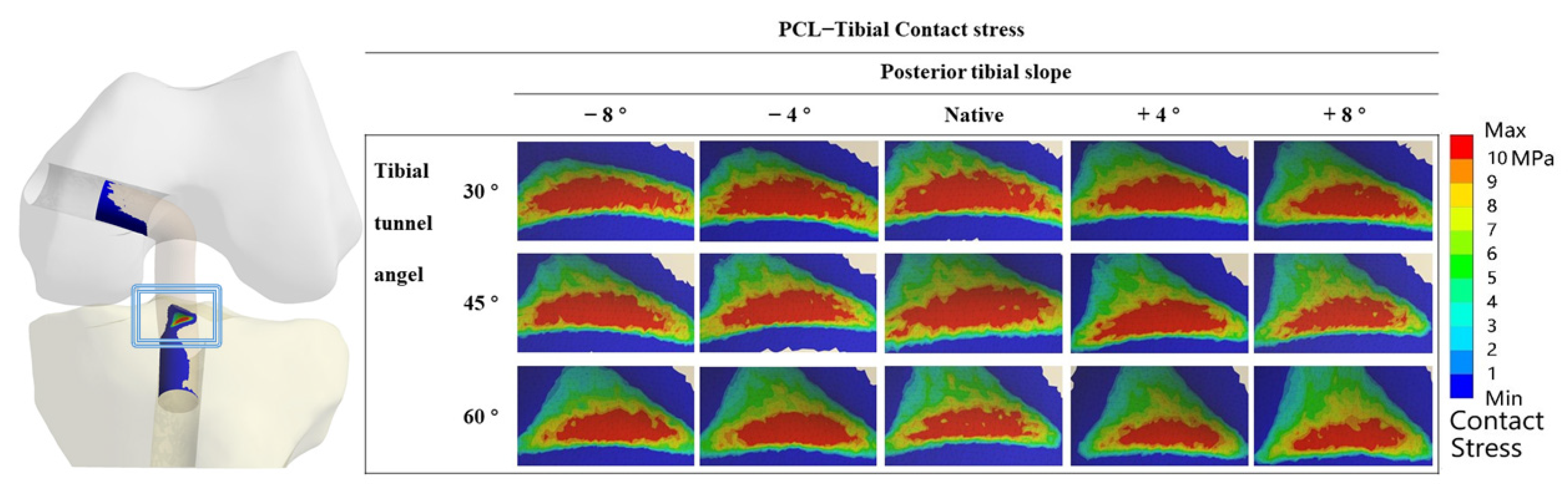 Jcm 12 00805 g004 Jcm 12 00805 g004