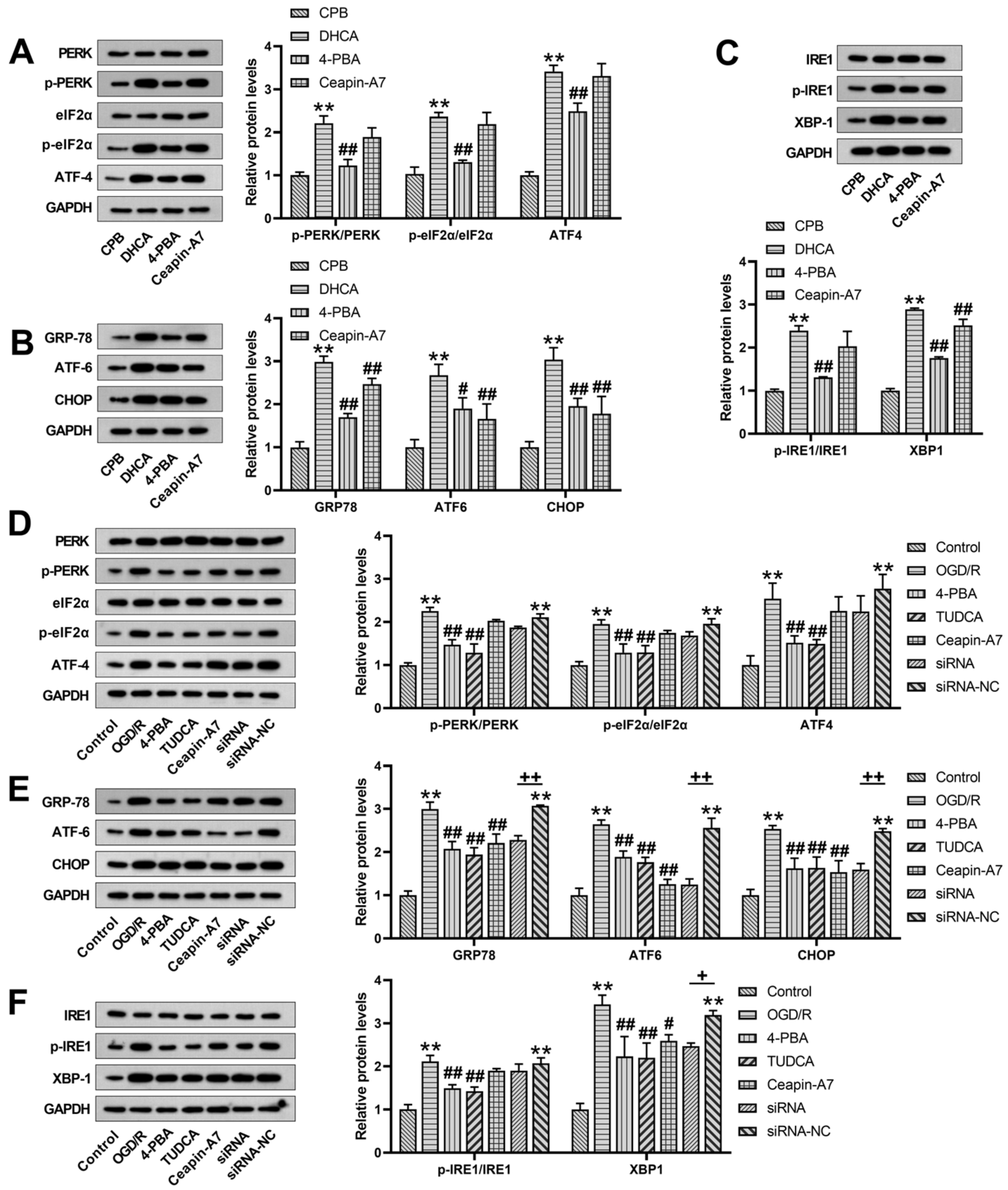Jcm 12 00814 g001 Jcm 12 00814 g001