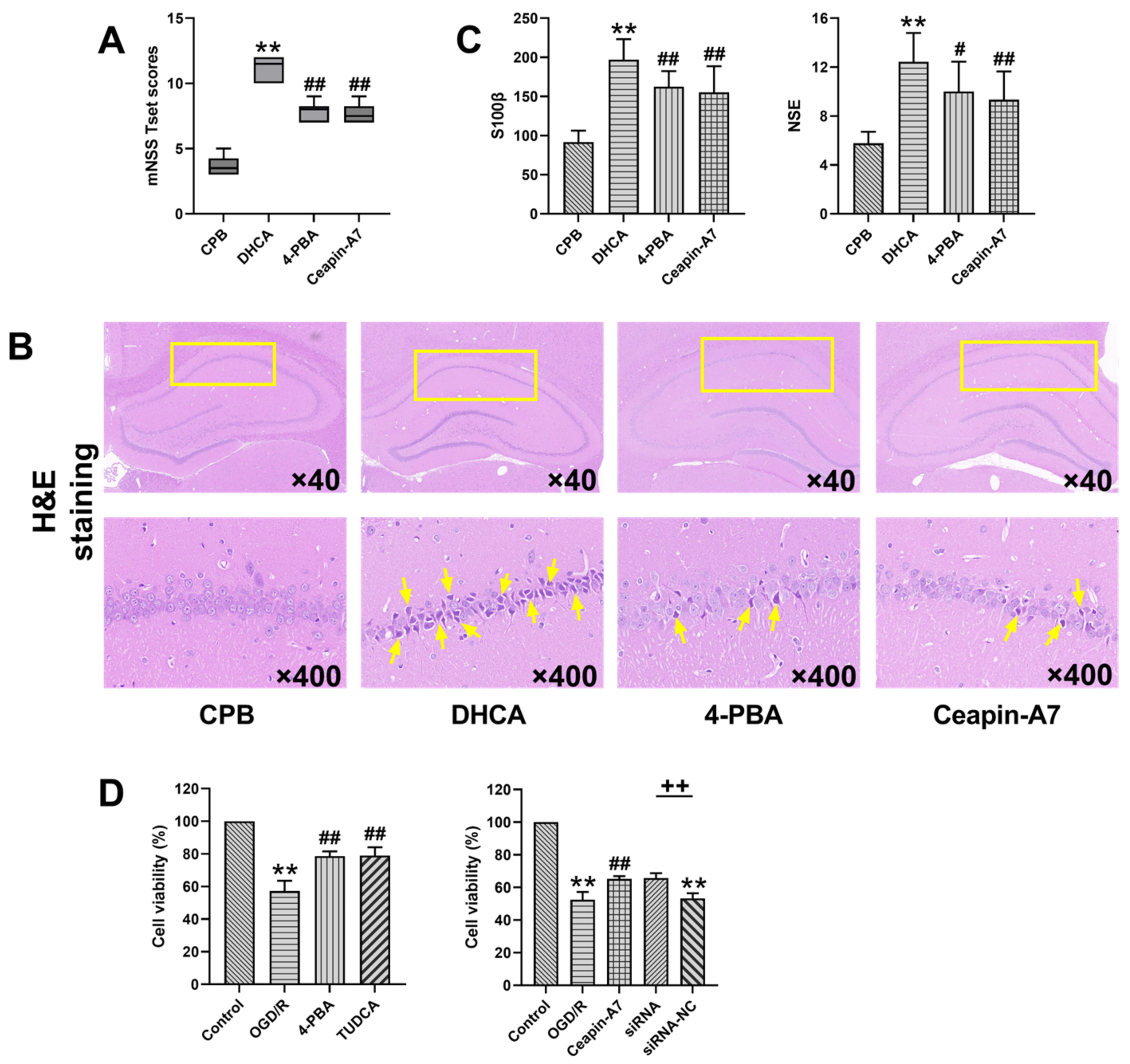 Jcm 12 00814 g002 Jcm 12 00814 g002