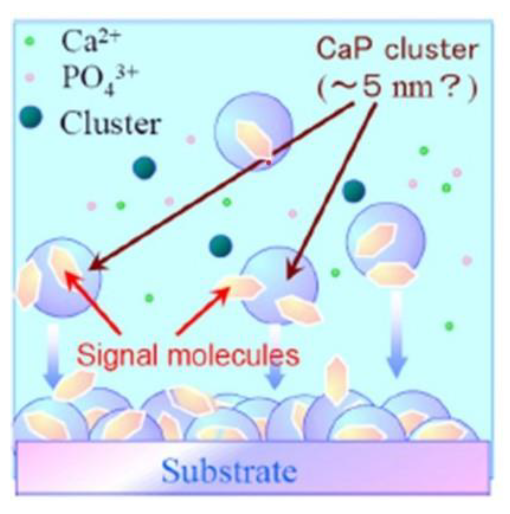 Jcm 12 00947 g001 Jcm 12 00947 g001