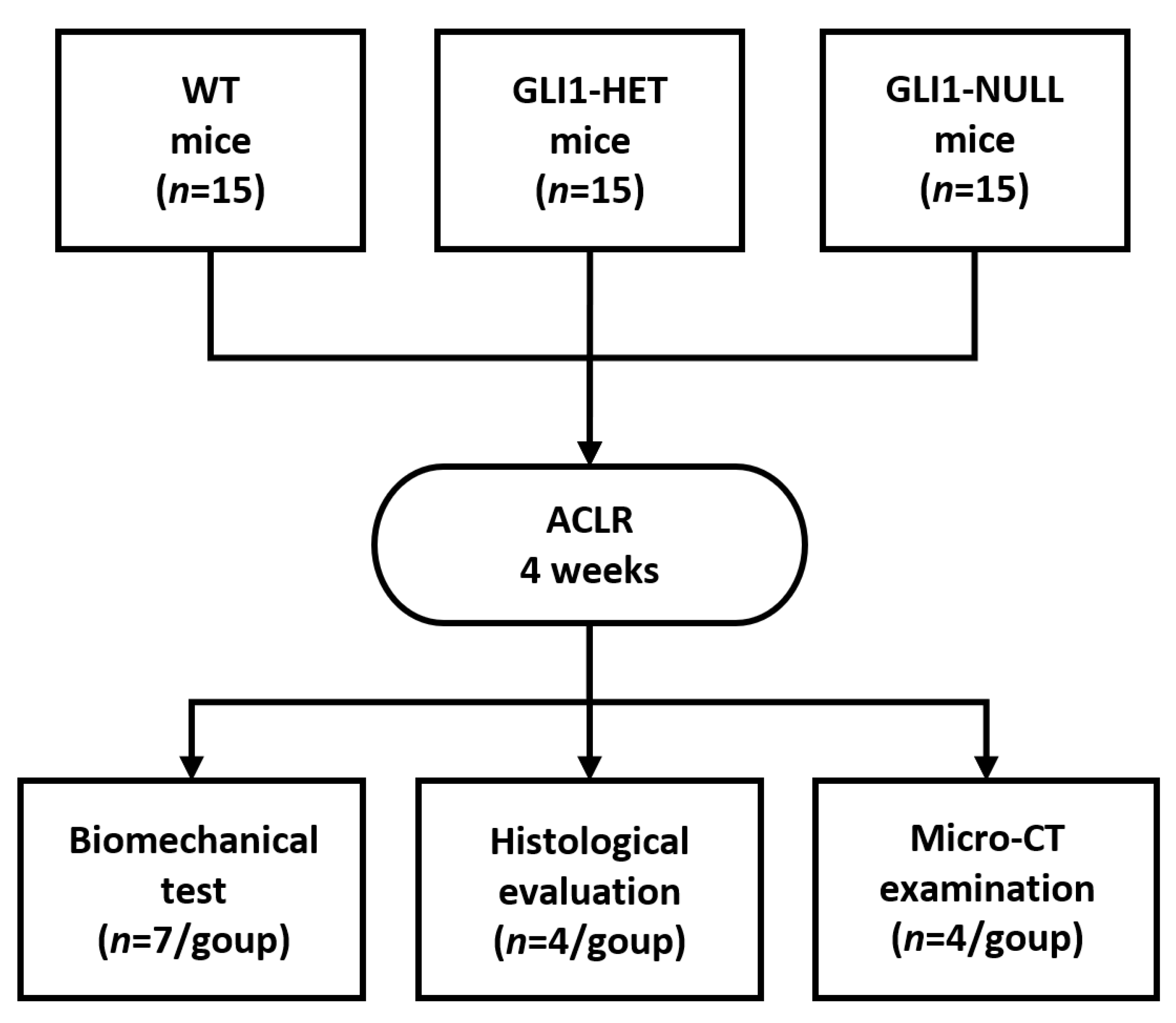 Jcm 12 00999 g001 Jcm 12 00999 g001