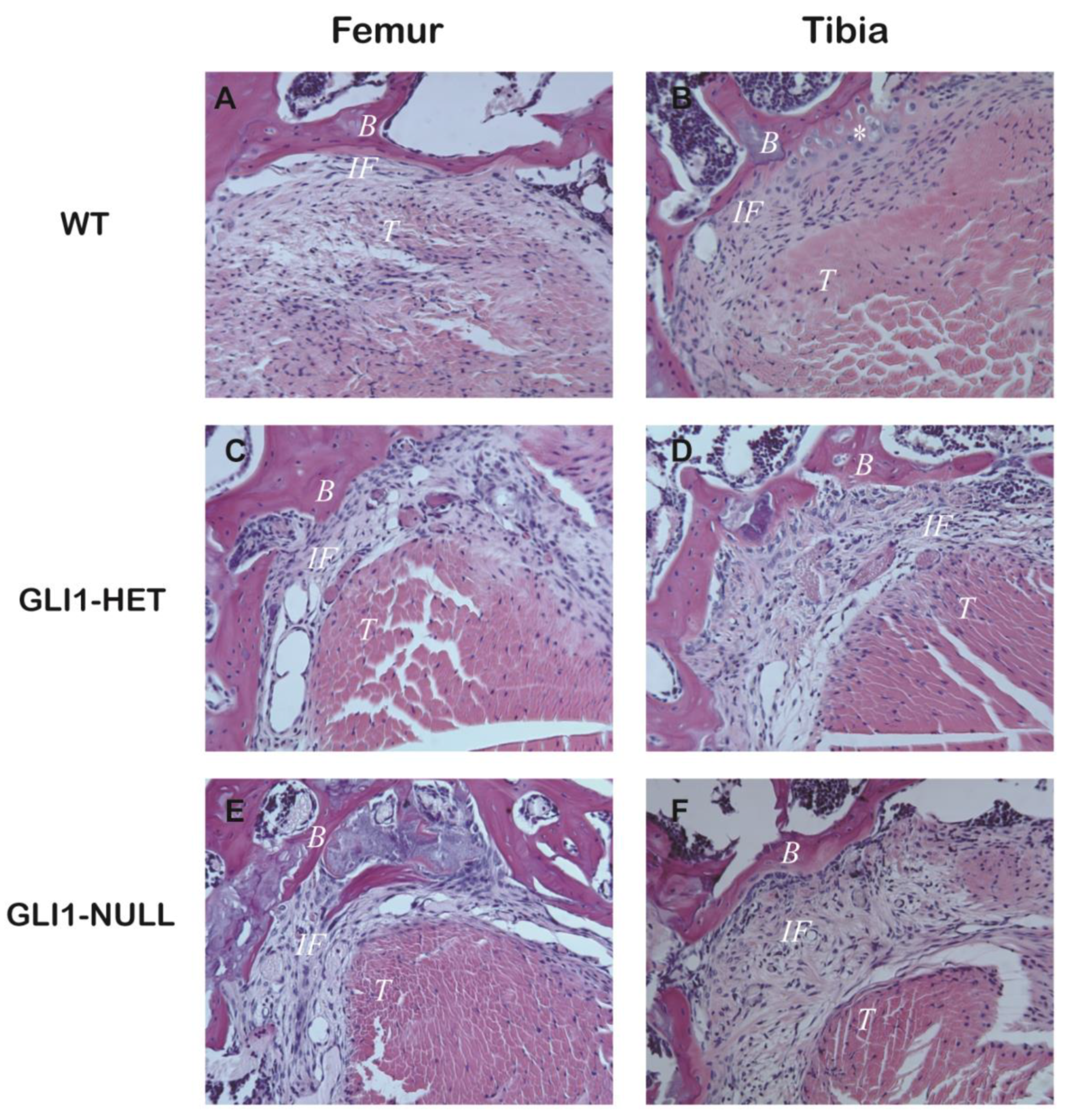 Jcm 12 00999 g003 Jcm 12 00999 g003