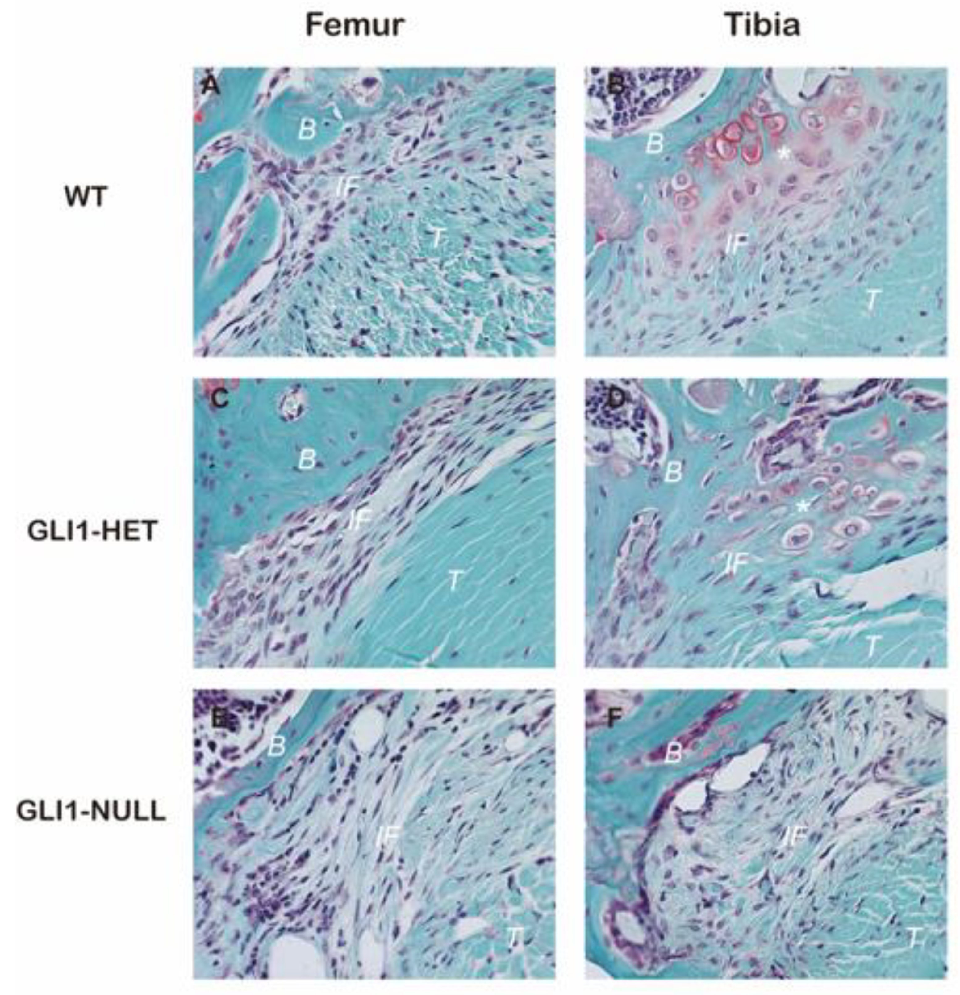 Jcm 12 00999 g004 Jcm 12 00999 g004