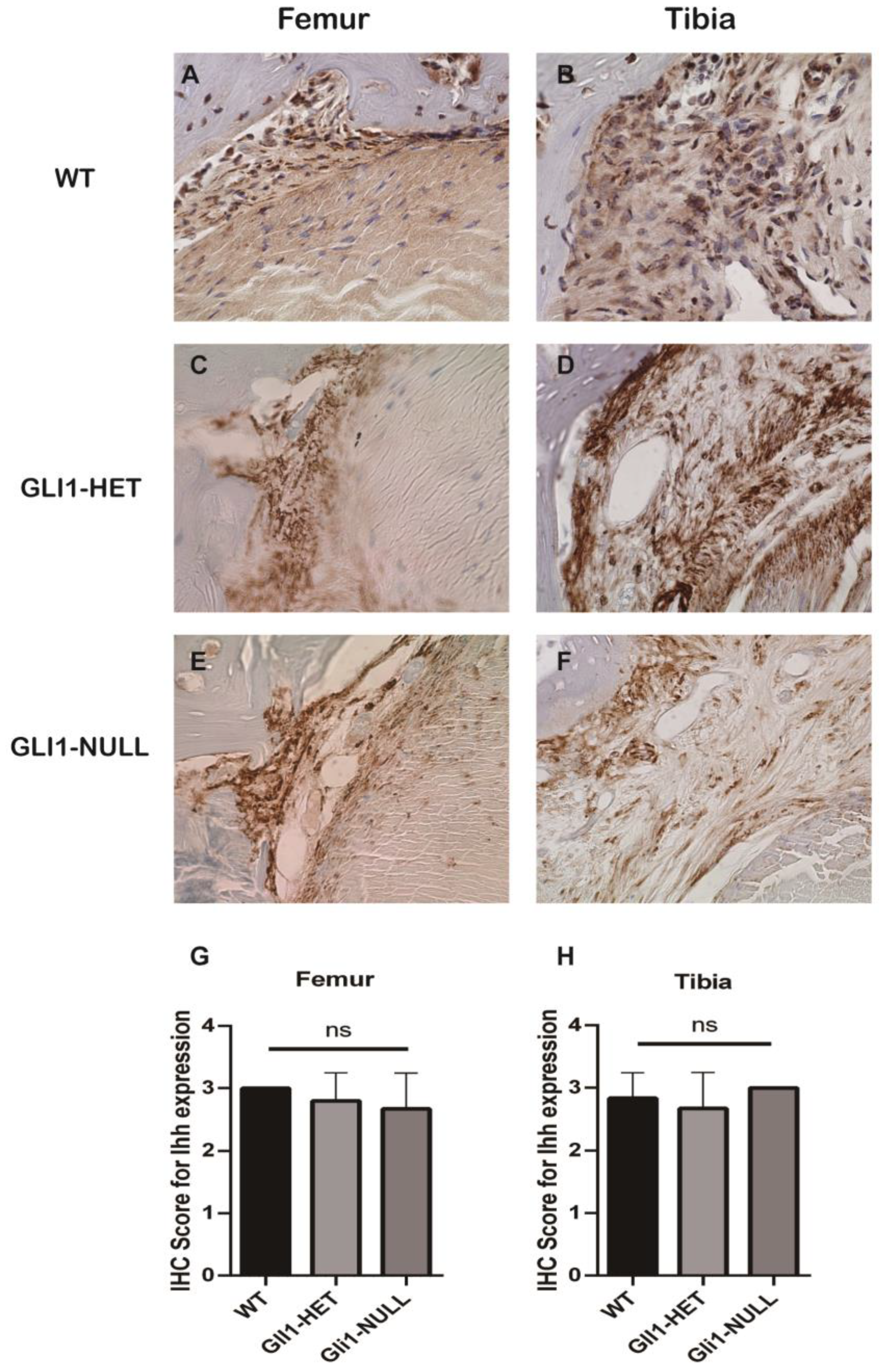 Jcm 12 00999 g007 Jcm 12 00999 g007