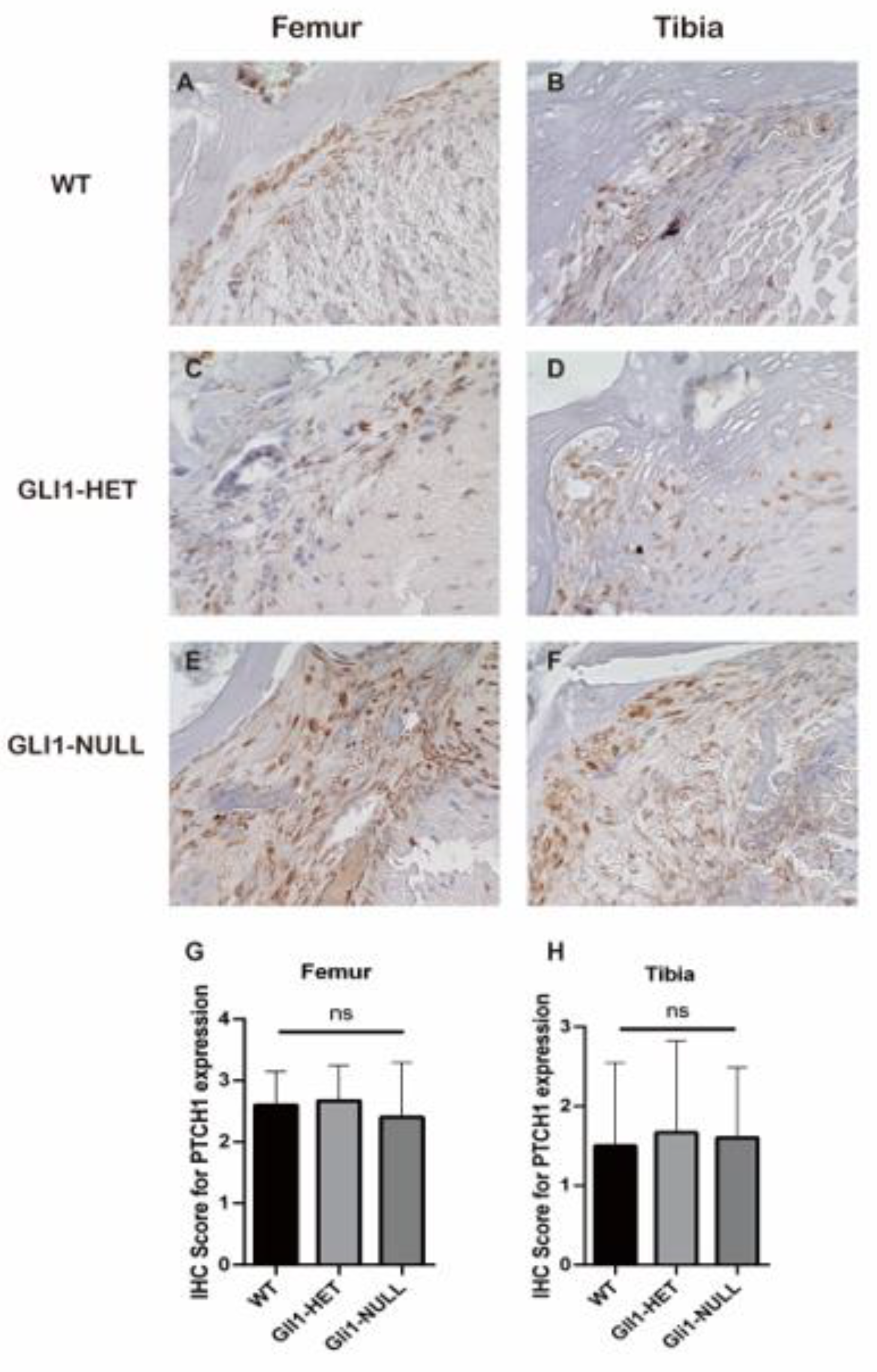 Jcm 12 00999 g008 Jcm 12 00999 g008