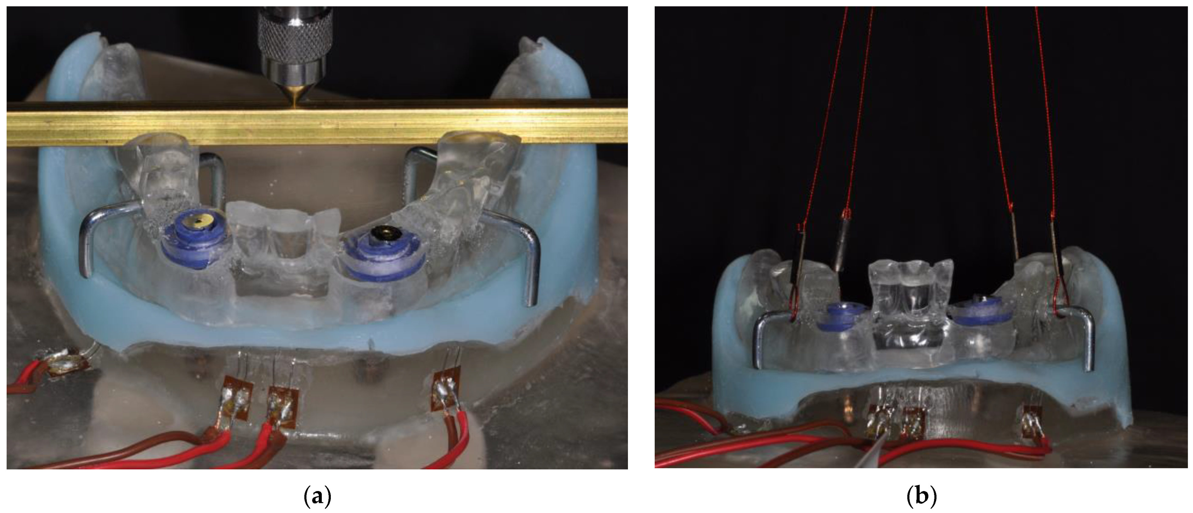 Jcm 12 01012 g004 Jcm 12 01012 g004