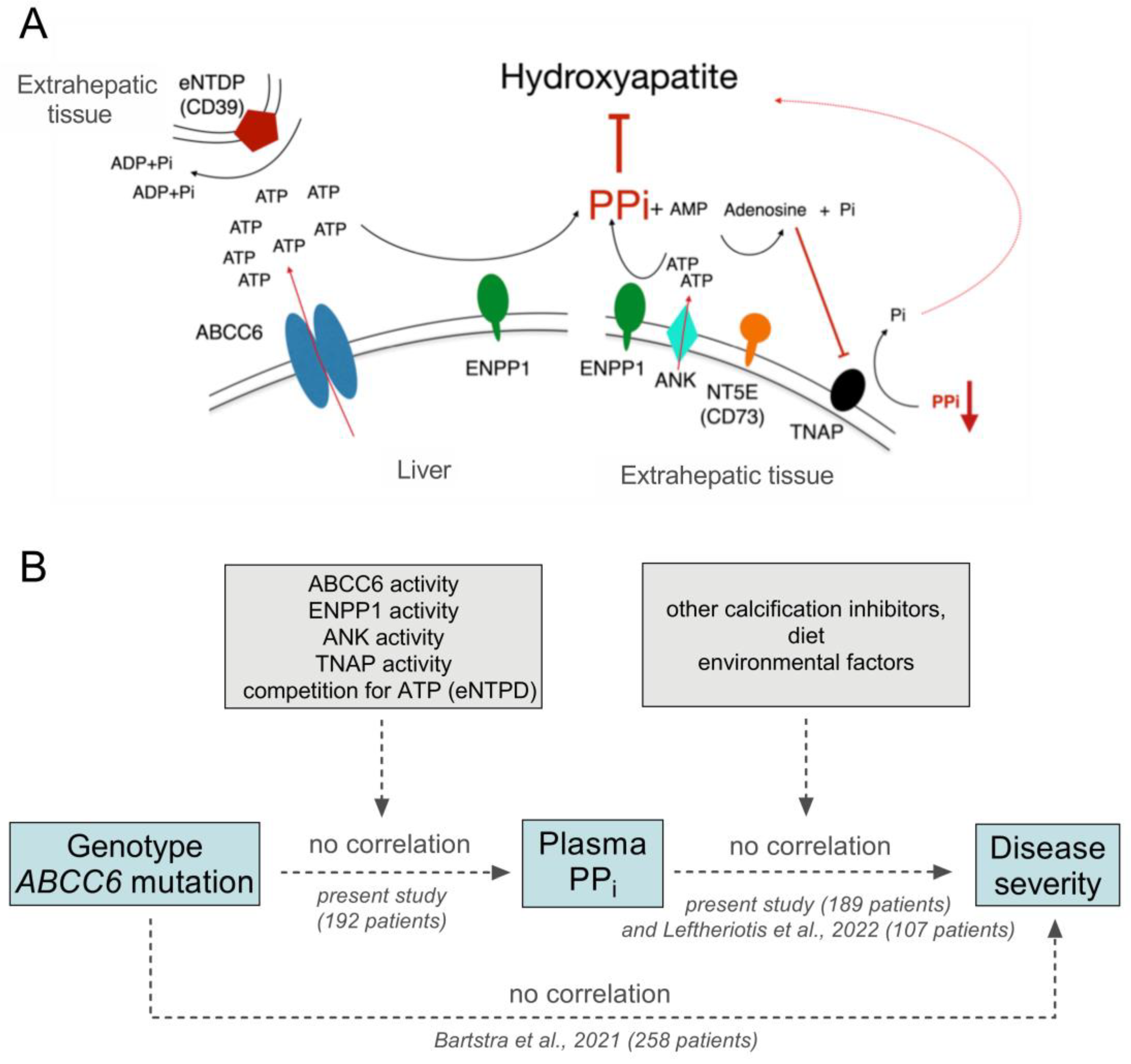 JCM Free Full Text Plasma Level of Pyrophosphate Is Low in