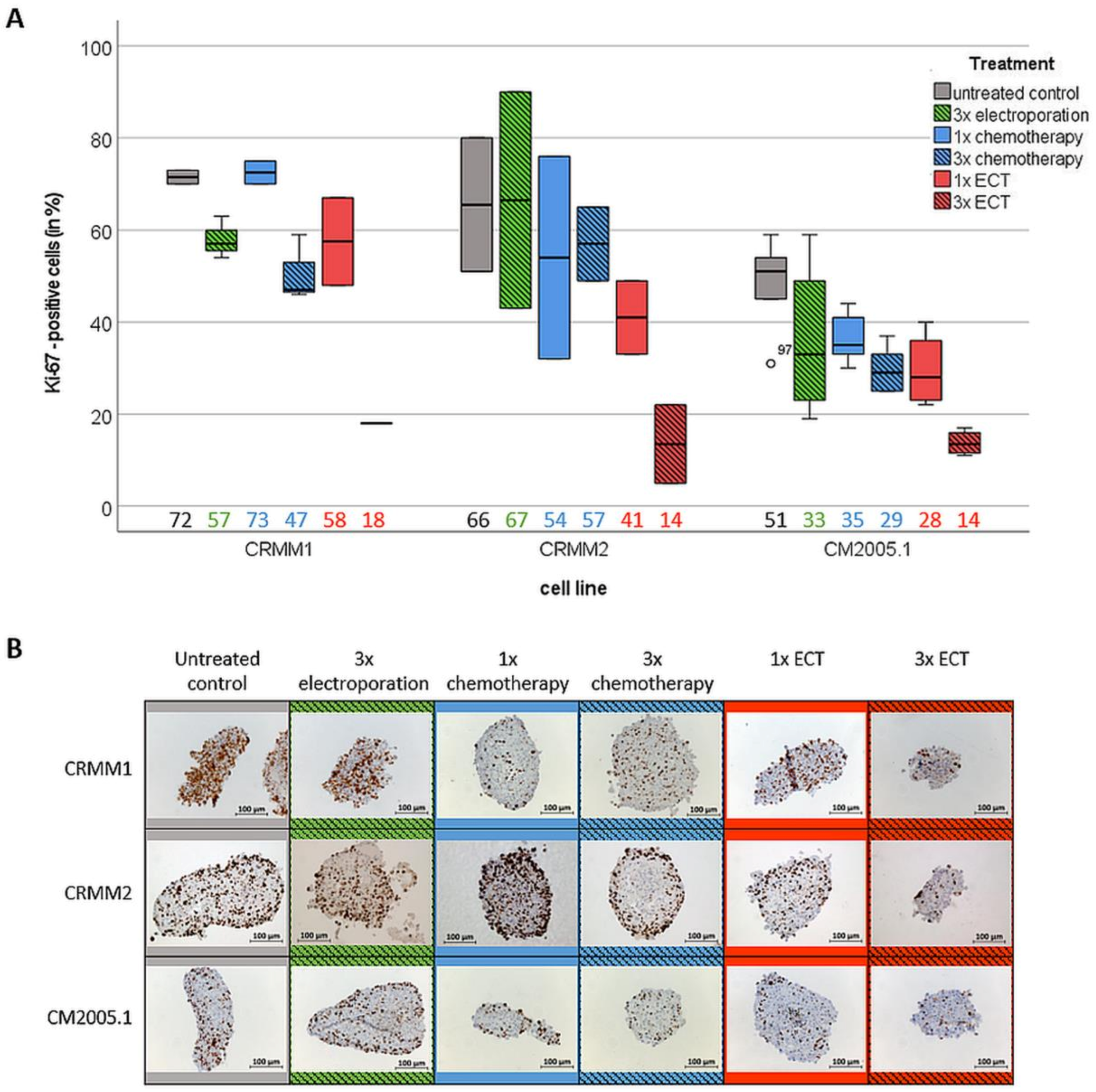 Jcm 12 01087 g004 Jcm 12 01087 g004