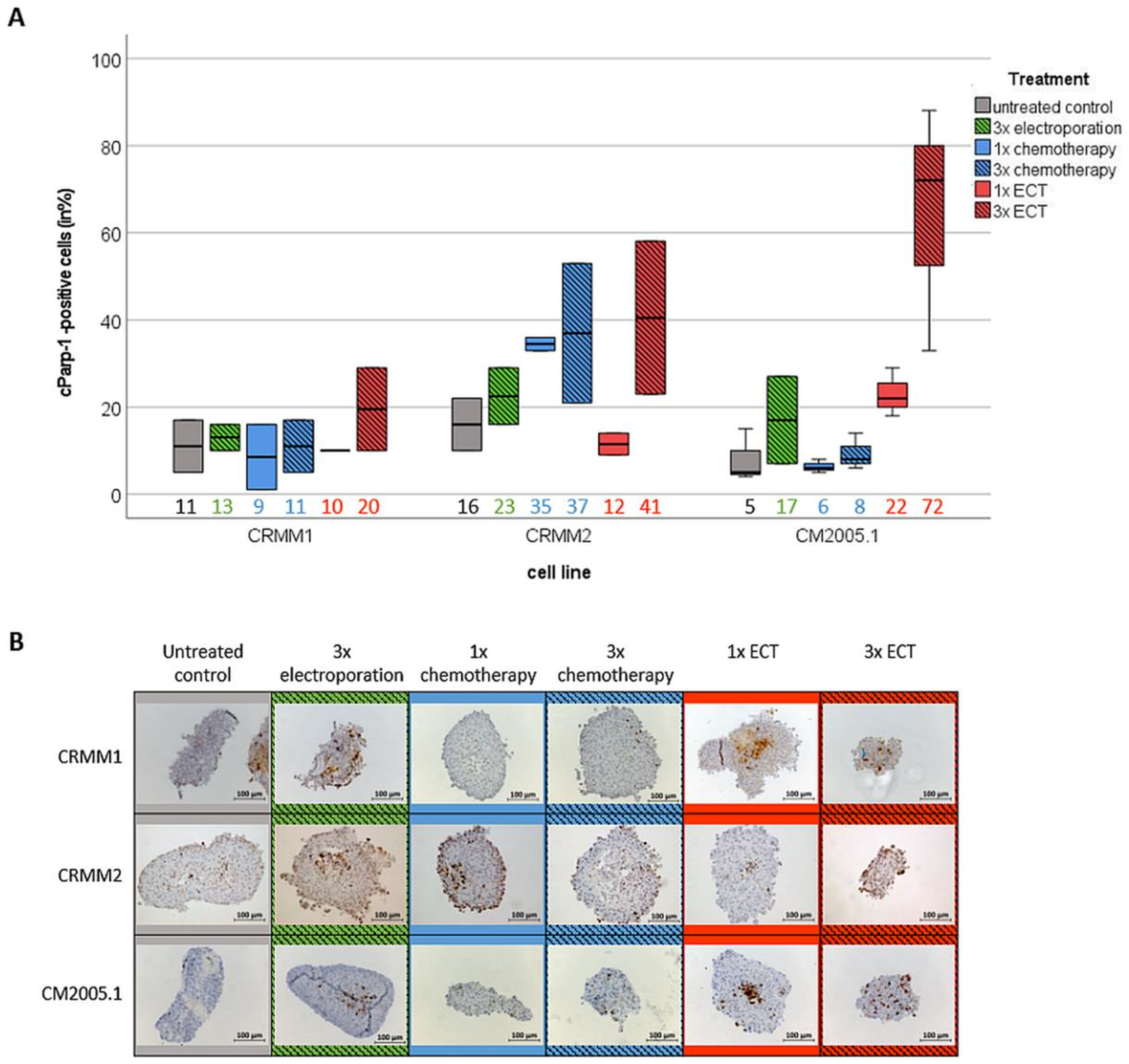 Jcm 12 01087 g005 Jcm 12 01087 g005