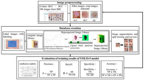 JCM | Free Full-Text | Classification of Skin Cancer Using Novel