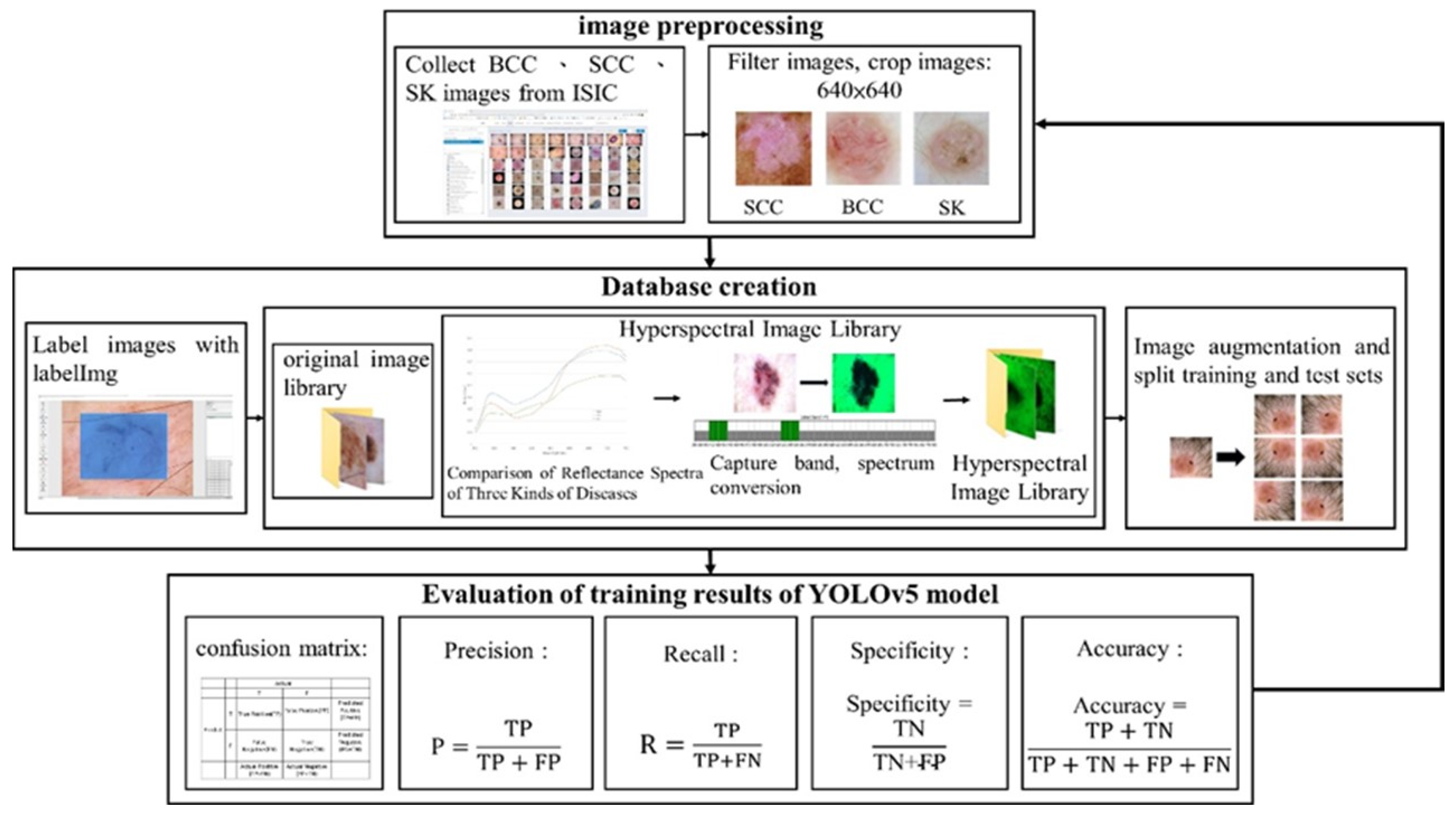 Jcm 12 01134 g001 Jcm 12 01134 g001