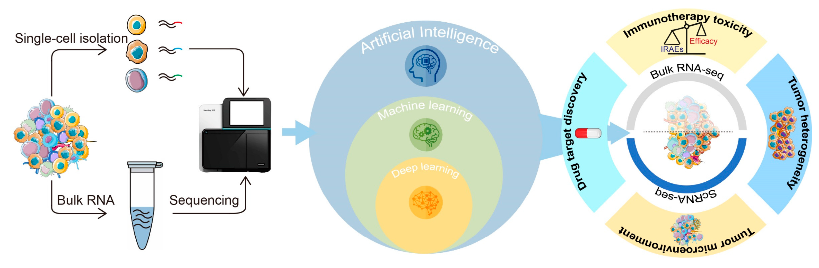 Jcm Free Full Text Artificial Intelligence Assisted Transcriptomic Analysis To Advance 0679