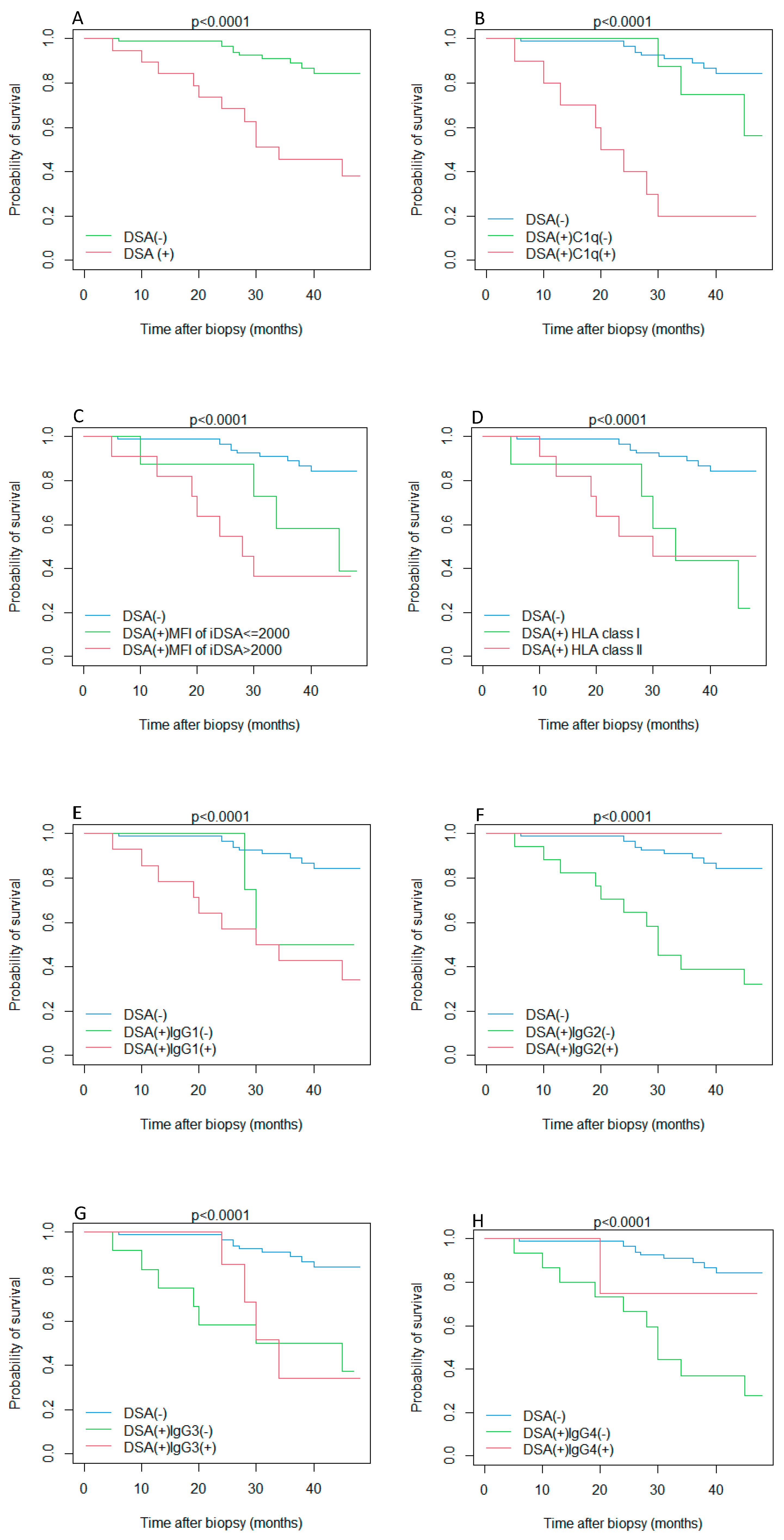 Jcm 12 01312 g001 Jcm 12 01312 g001