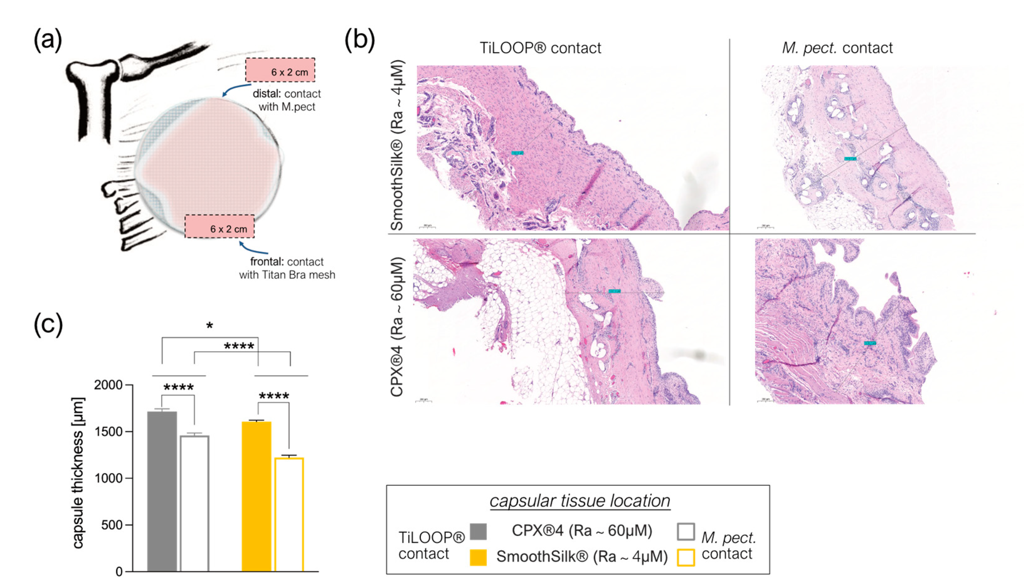 Jcm 12 01315 g007 Jcm 12 01315 g007