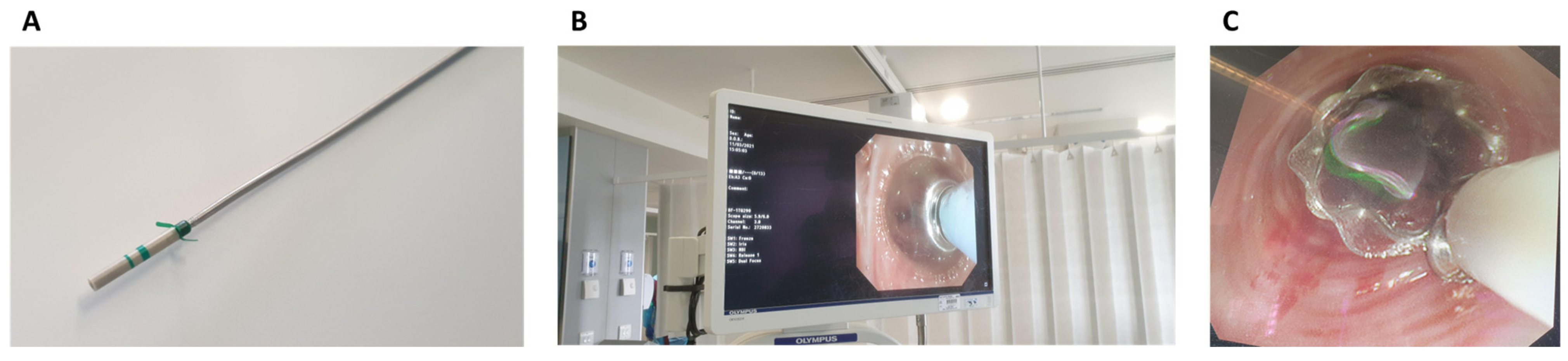 Jcm 12 01348 g001 Jcm 12 01348 g001