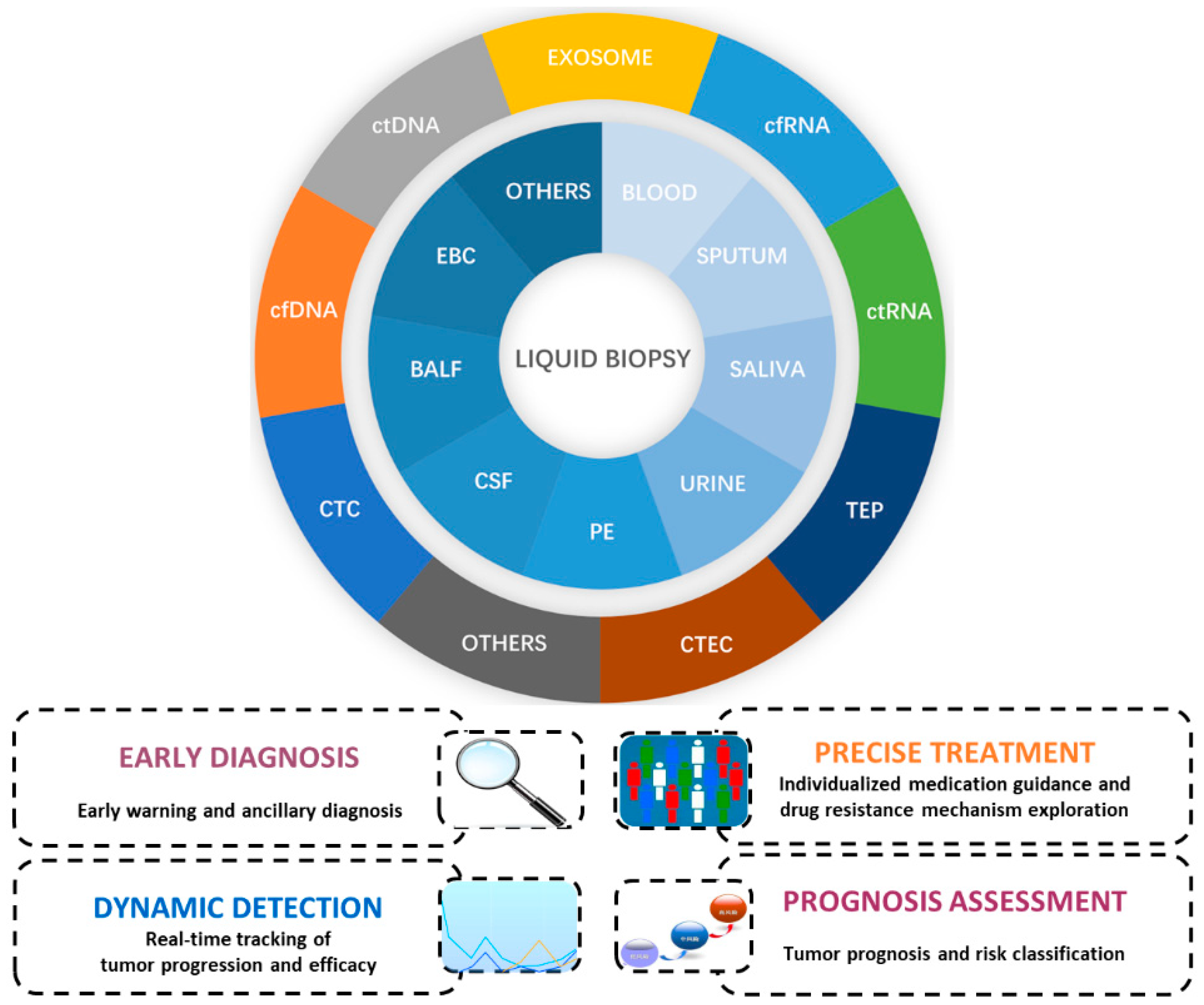 JCM | Free Full-Text | Can Liquid Biopsy Based On CtDNA/cfDNA Replace ...