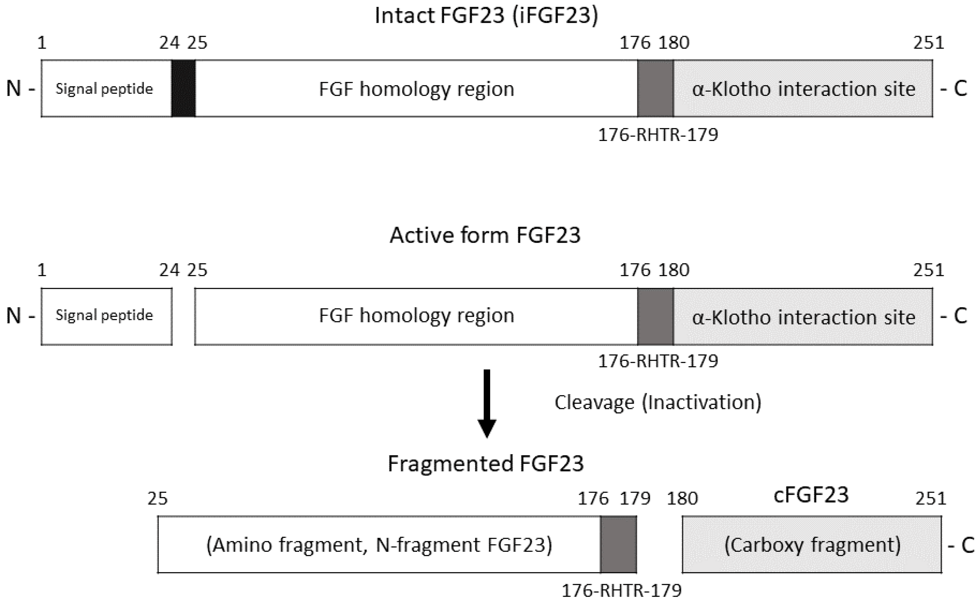 Jcm 12 01550 g001 Jcm 12 01550 g001