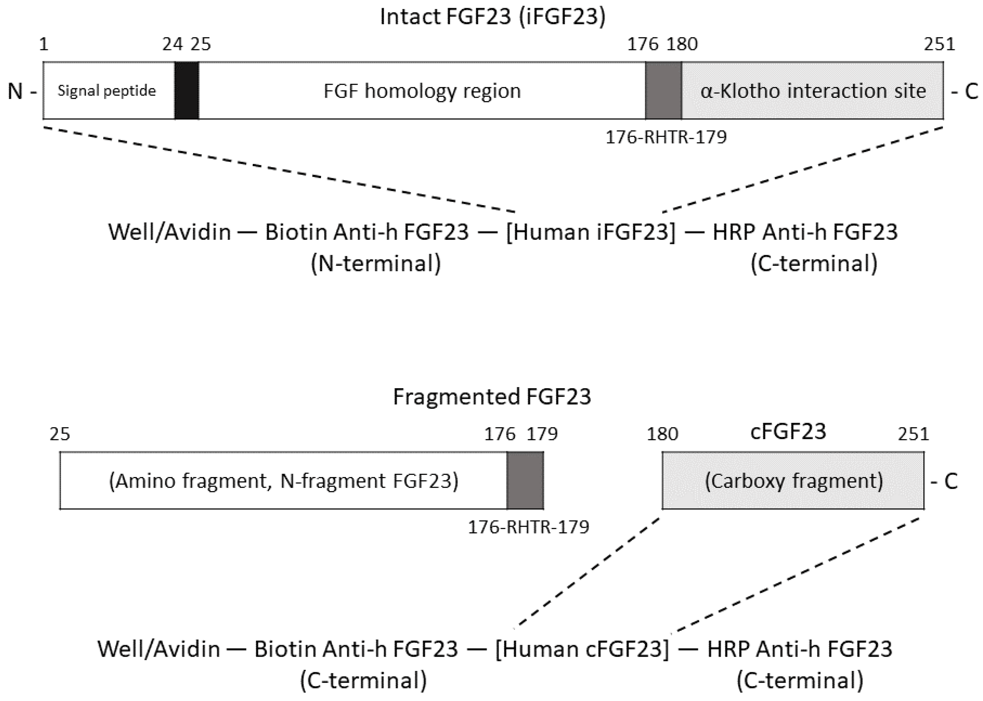 Jcm 12 01550 g002 Jcm 12 01550 g002