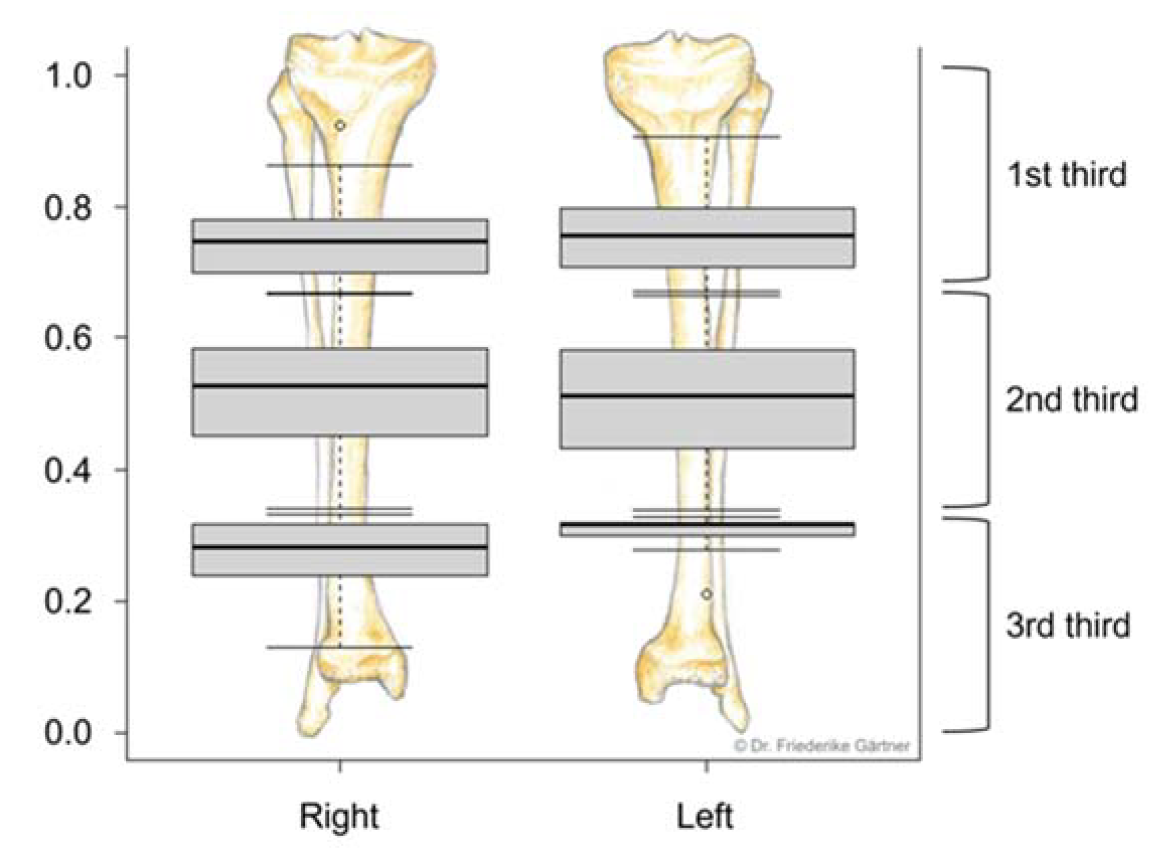 Jcm 12 01634 g005 Jcm 12 01634 g005
