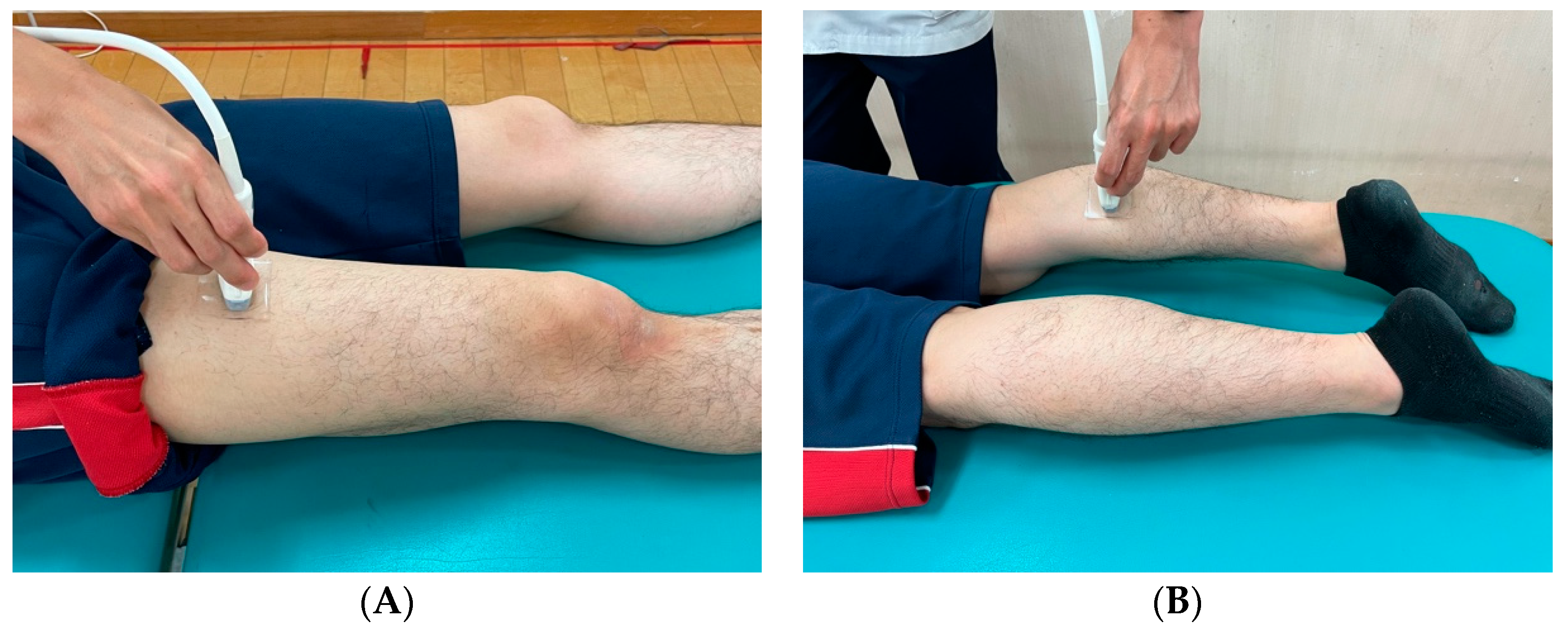 Jcm 12 01660 g001 Jcm 12 01660 g001