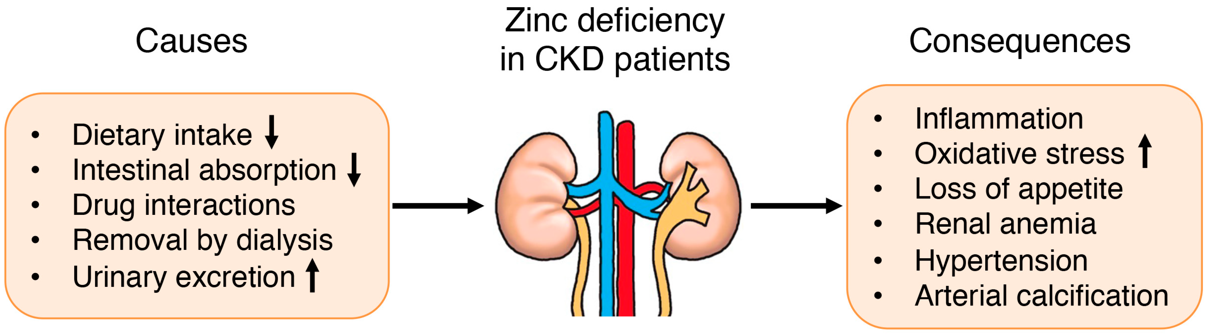 JCM Free FullText Clinical Significance of Trace Element Zinc in