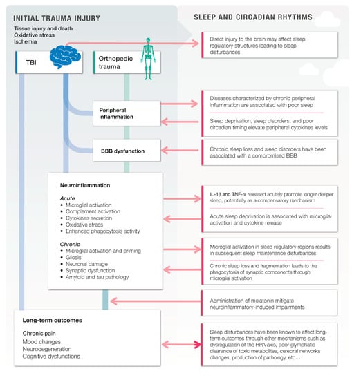 A Technical Review of the Formation of the 2022-23 Deep Persistent