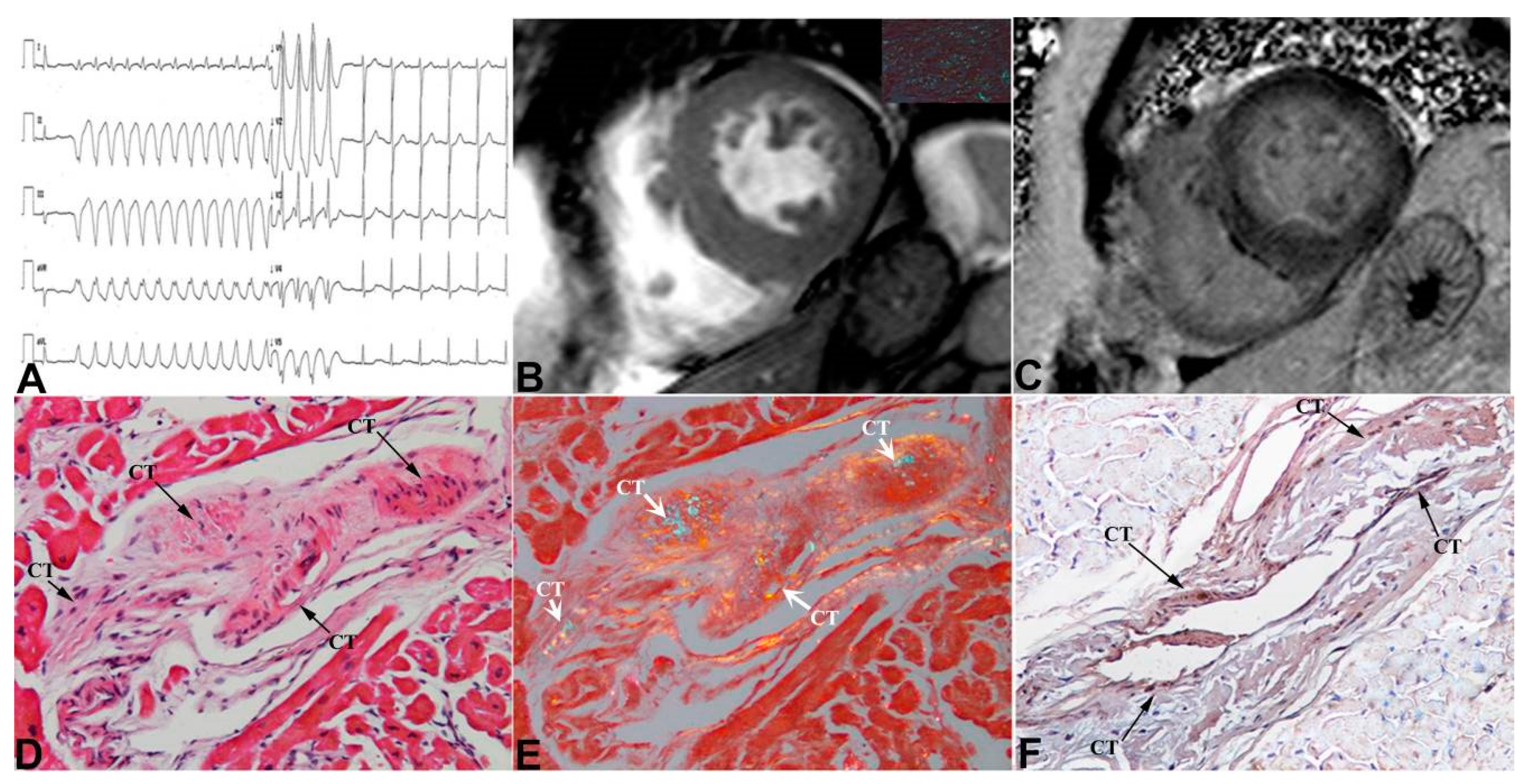 Jcm 12 01798 g003 Jcm 12 01798 g003
