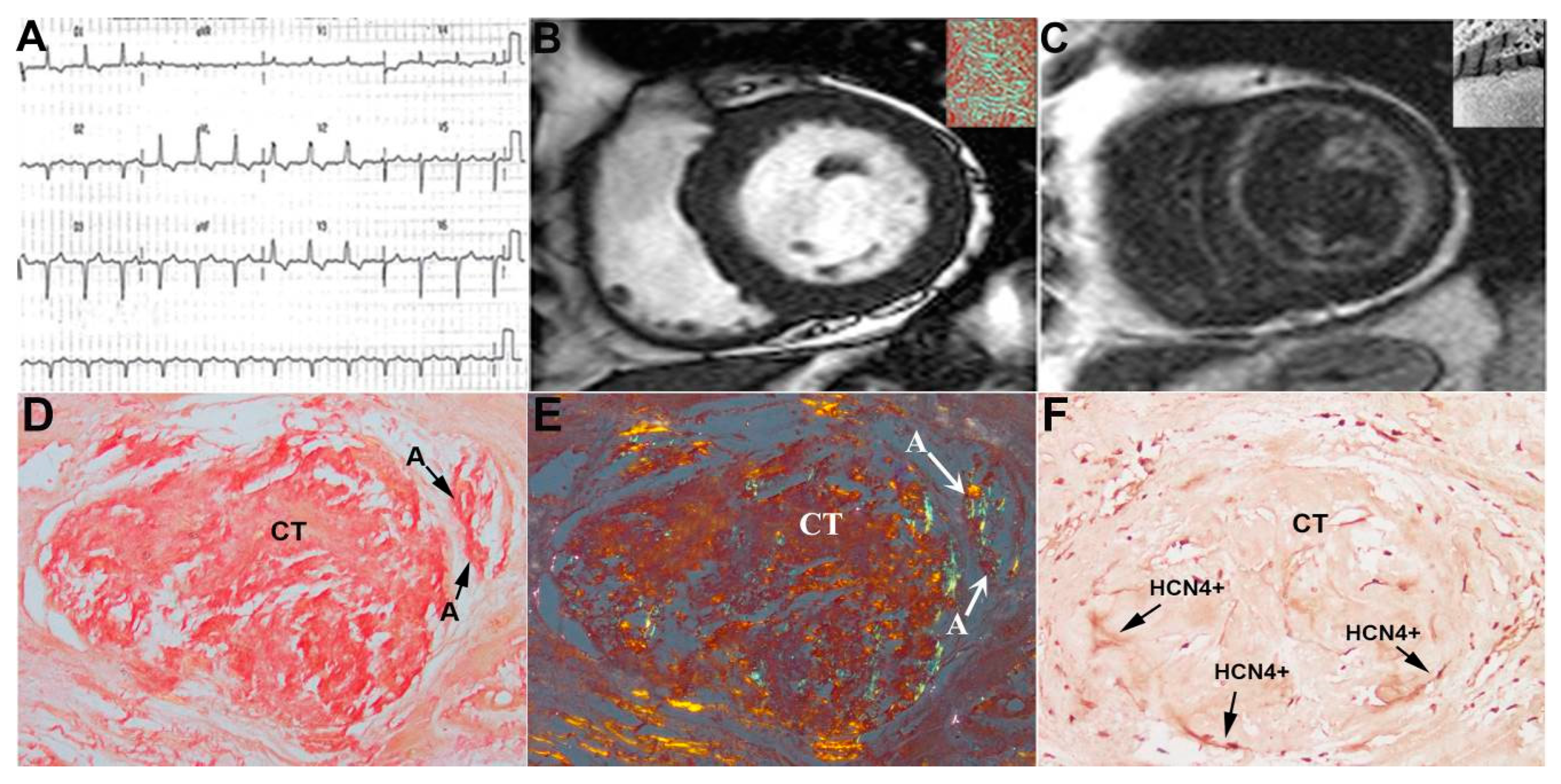 Jcm 12 01798 g004 Jcm 12 01798 g004