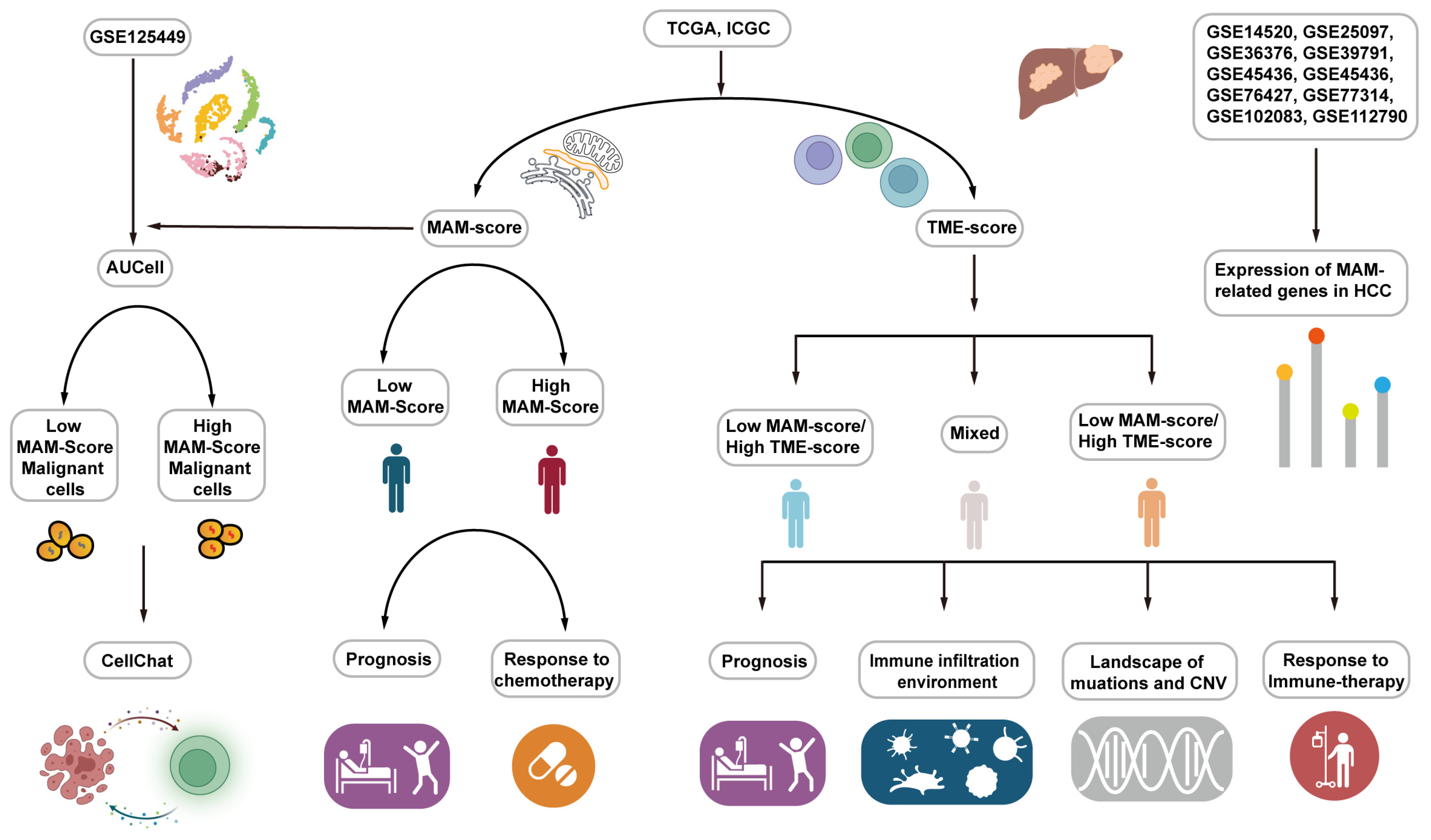 Jcm 12 01830 g001 Jcm 12 01830 g001