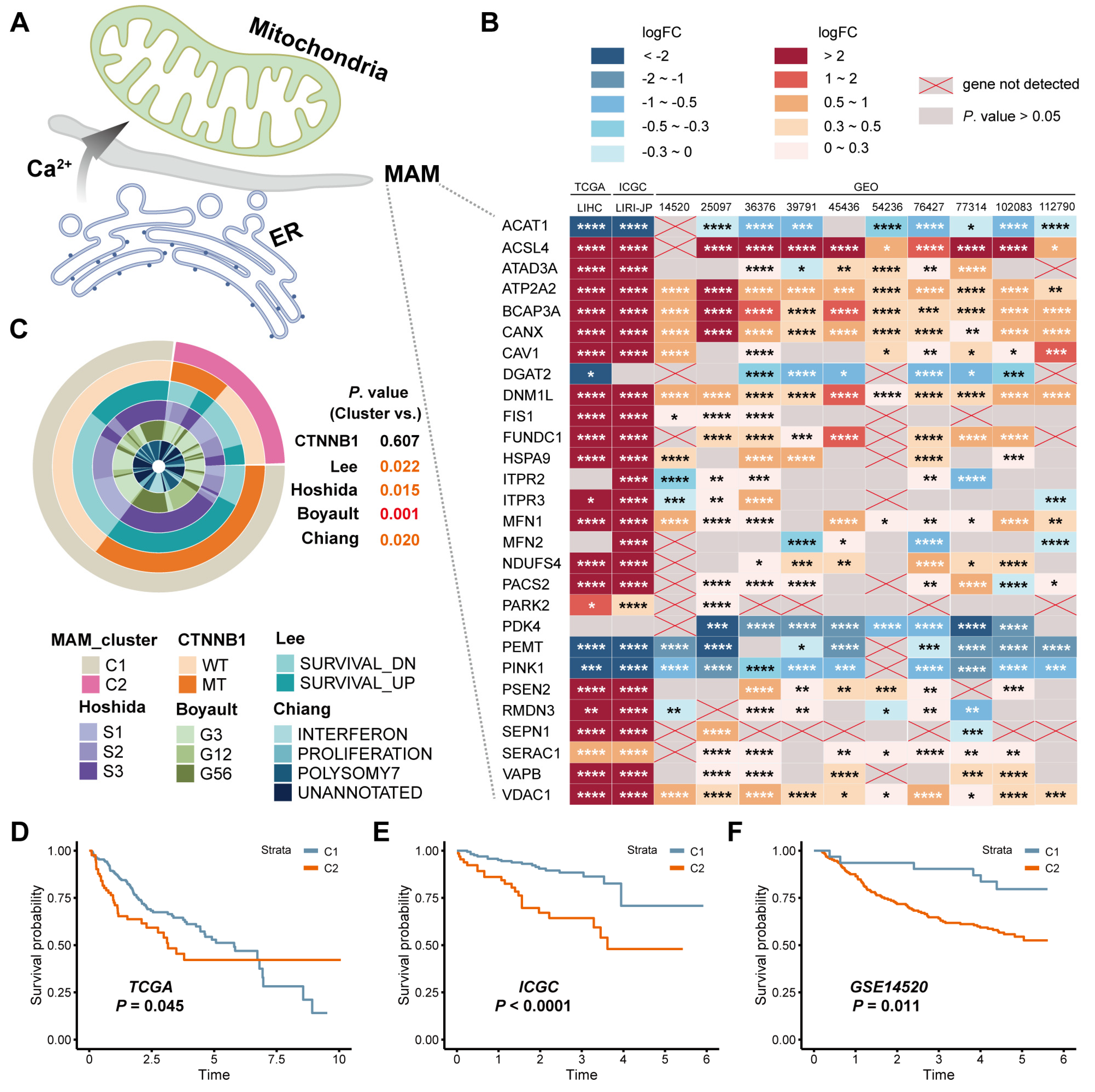 Jcm 12 01830 g002 Jcm 12 01830 g002