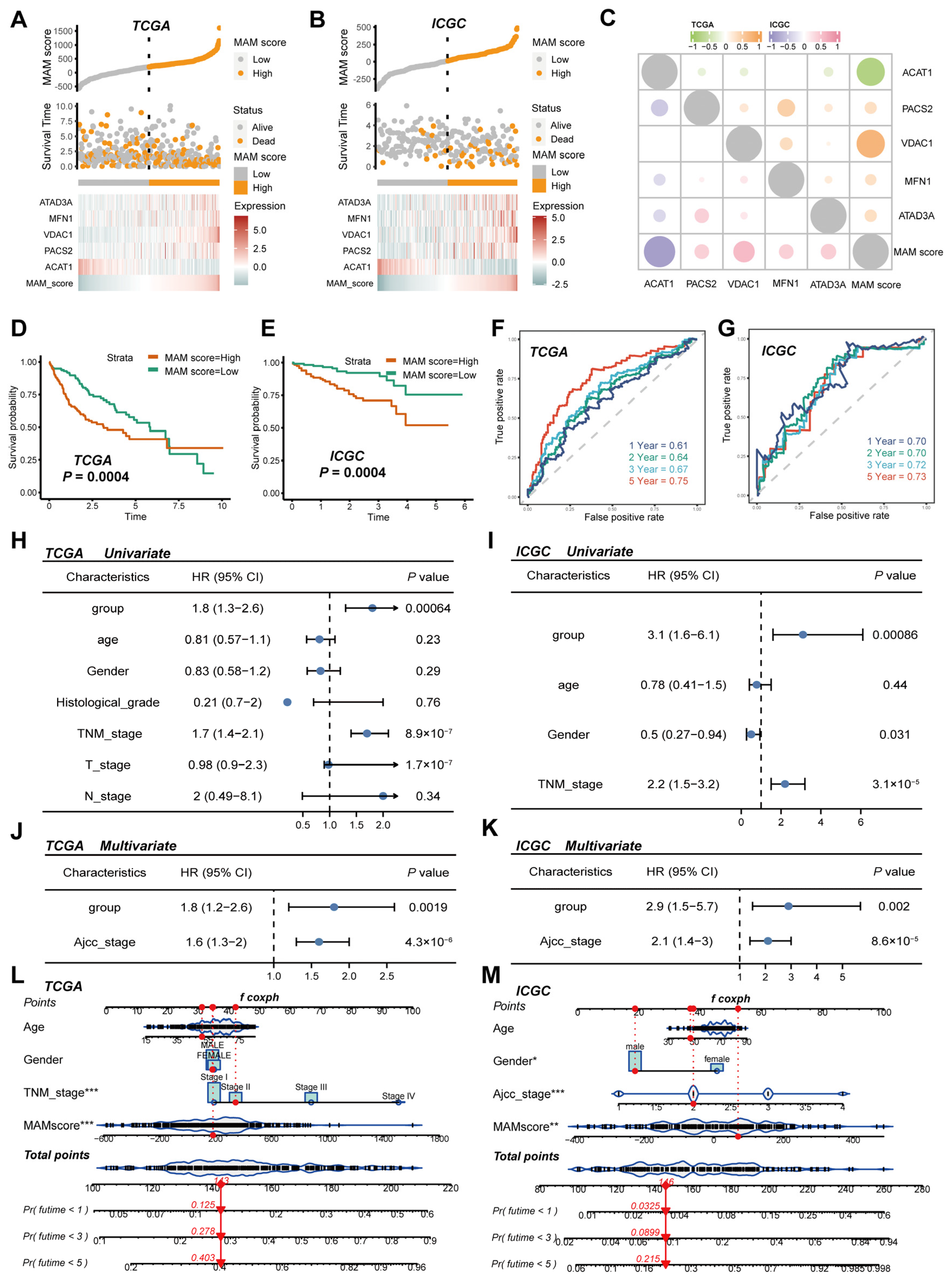 Jcm 12 01830 g003 Jcm 12 01830 g003