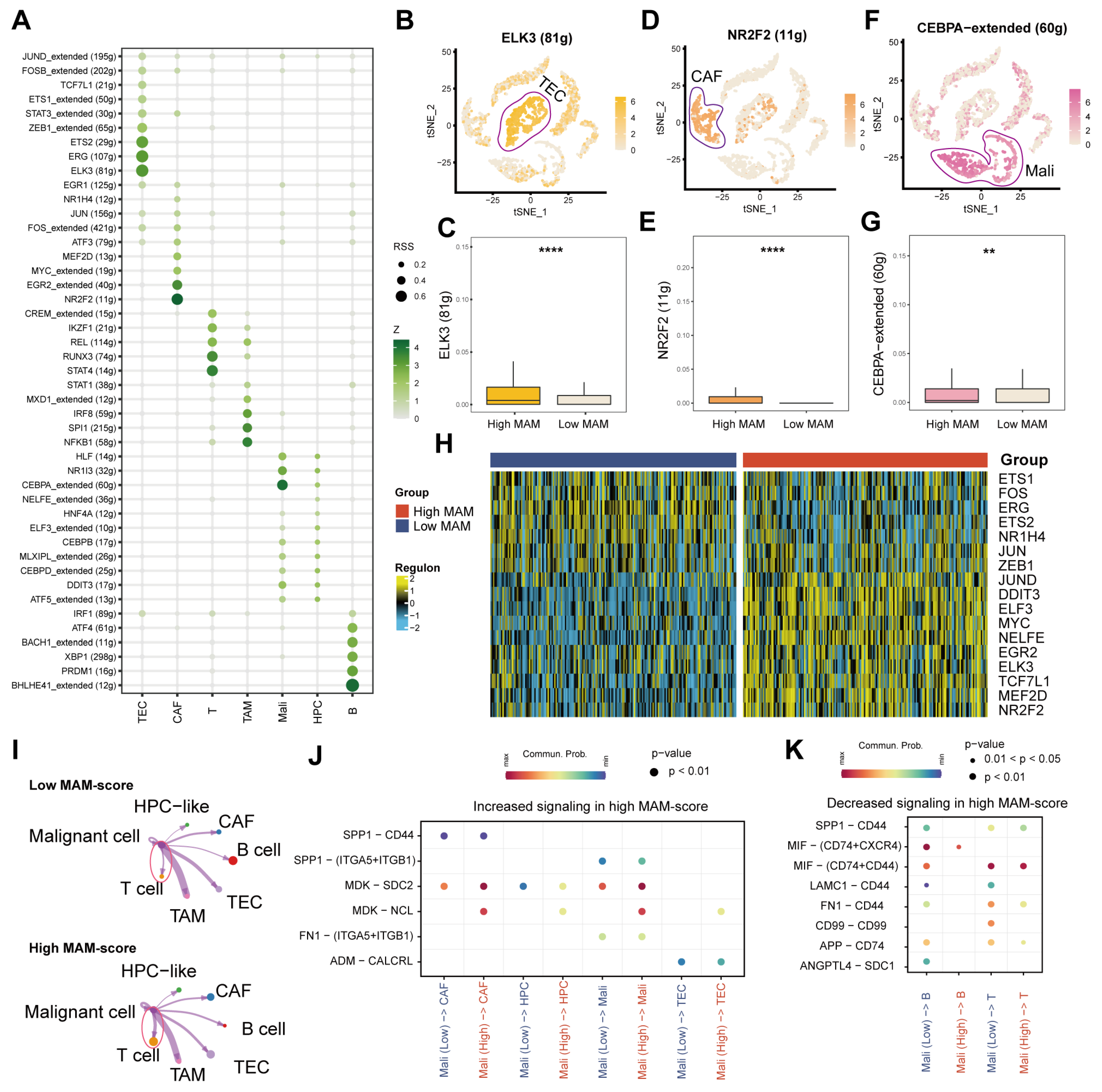 Jcm 12 01830 g005 Jcm 12 01830 g005