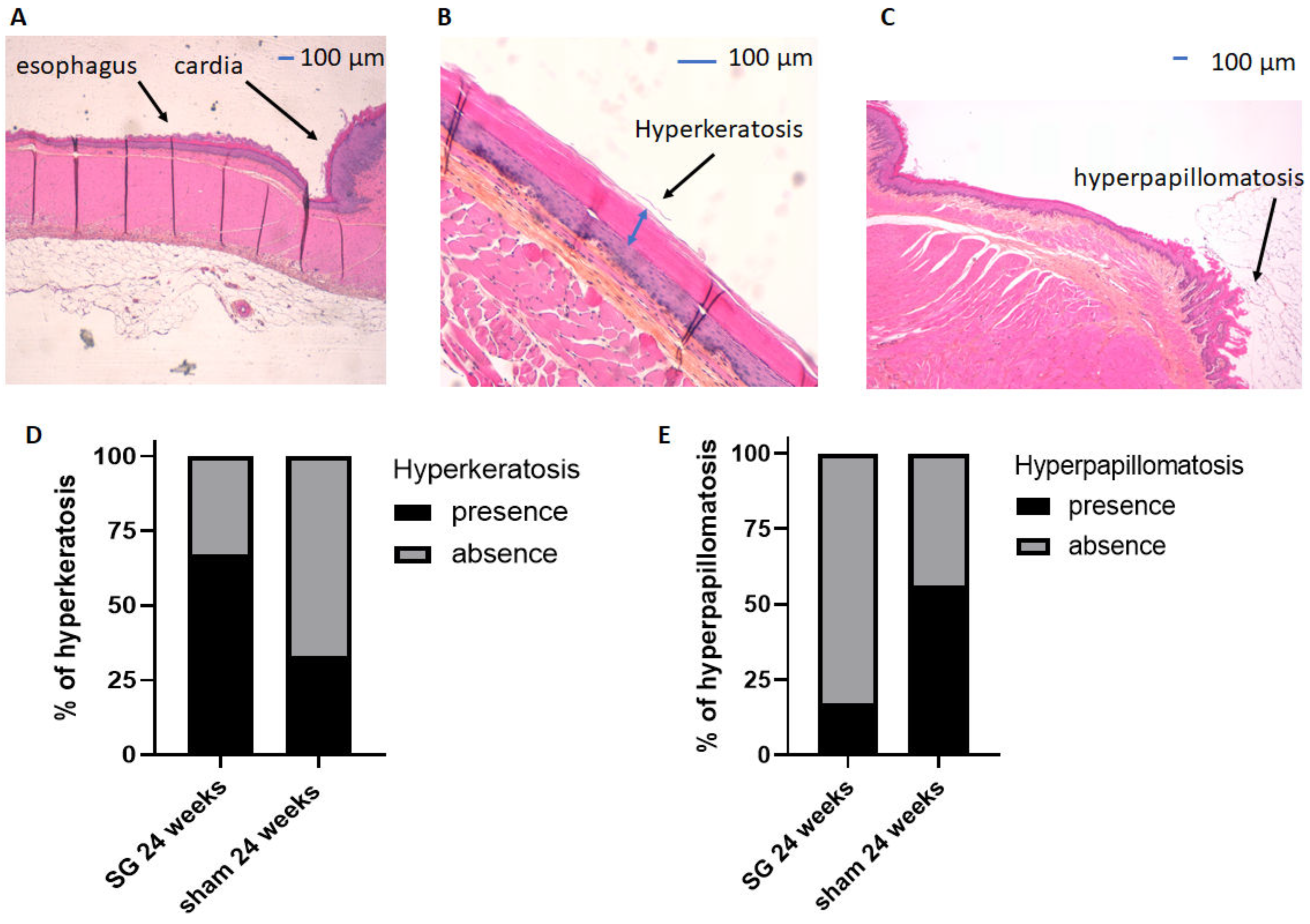 Jcm 12 01848 g002 Jcm 12 01848 g002