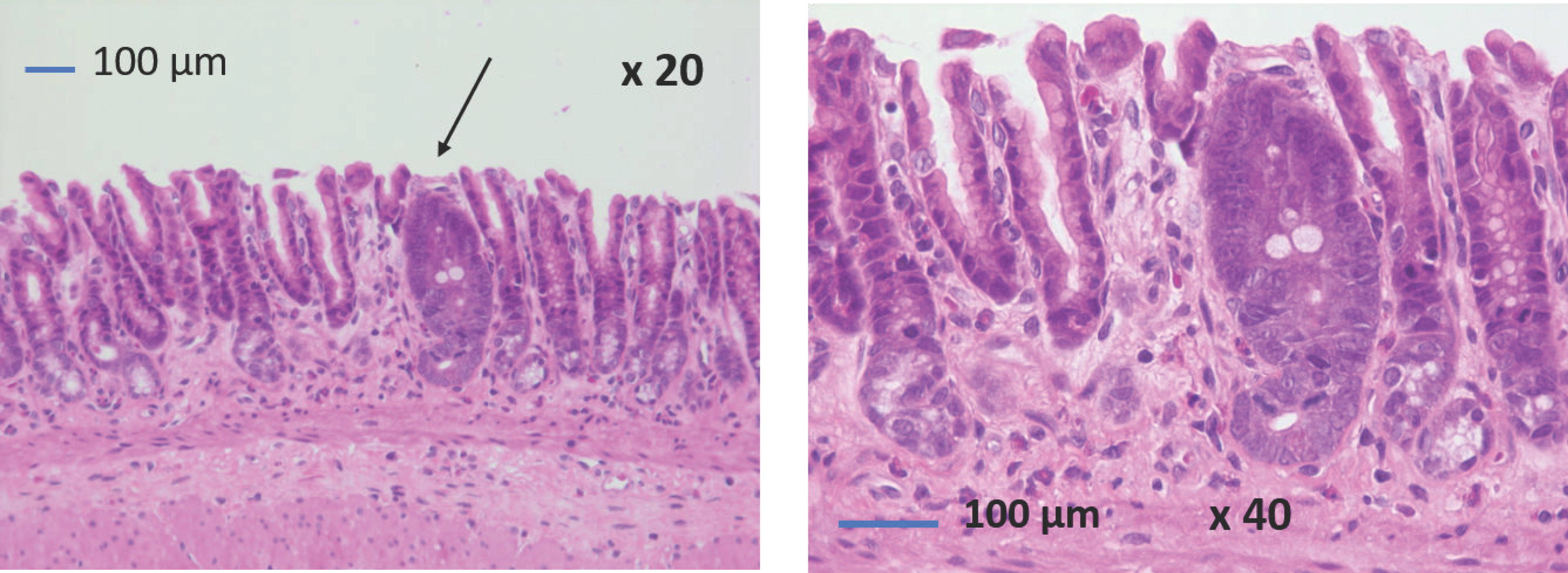 Jcm 12 01848 g004 Jcm 12 01848 g004
