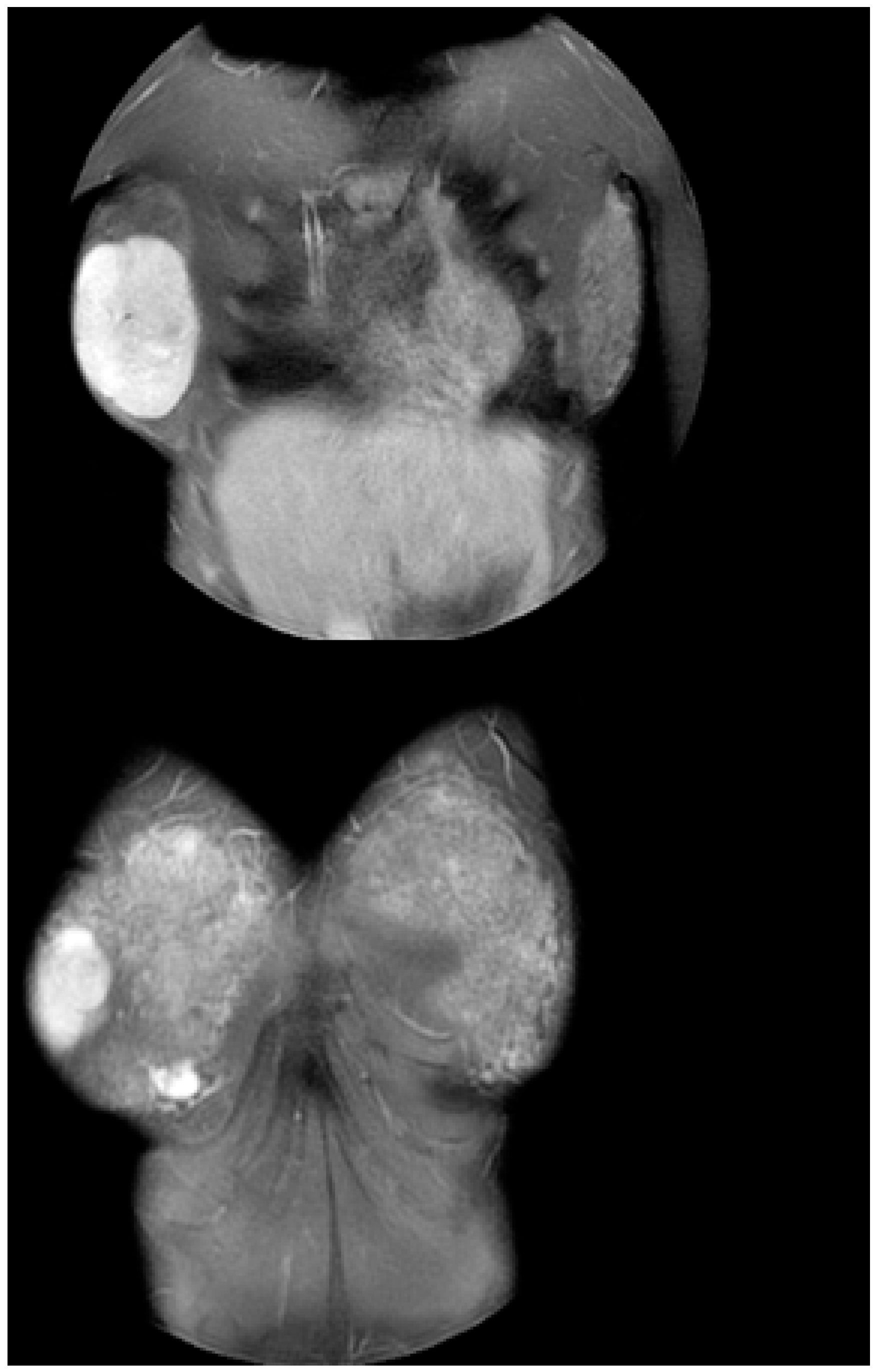 Jcm 12 01855 g002 Jcm 12 01855 g002